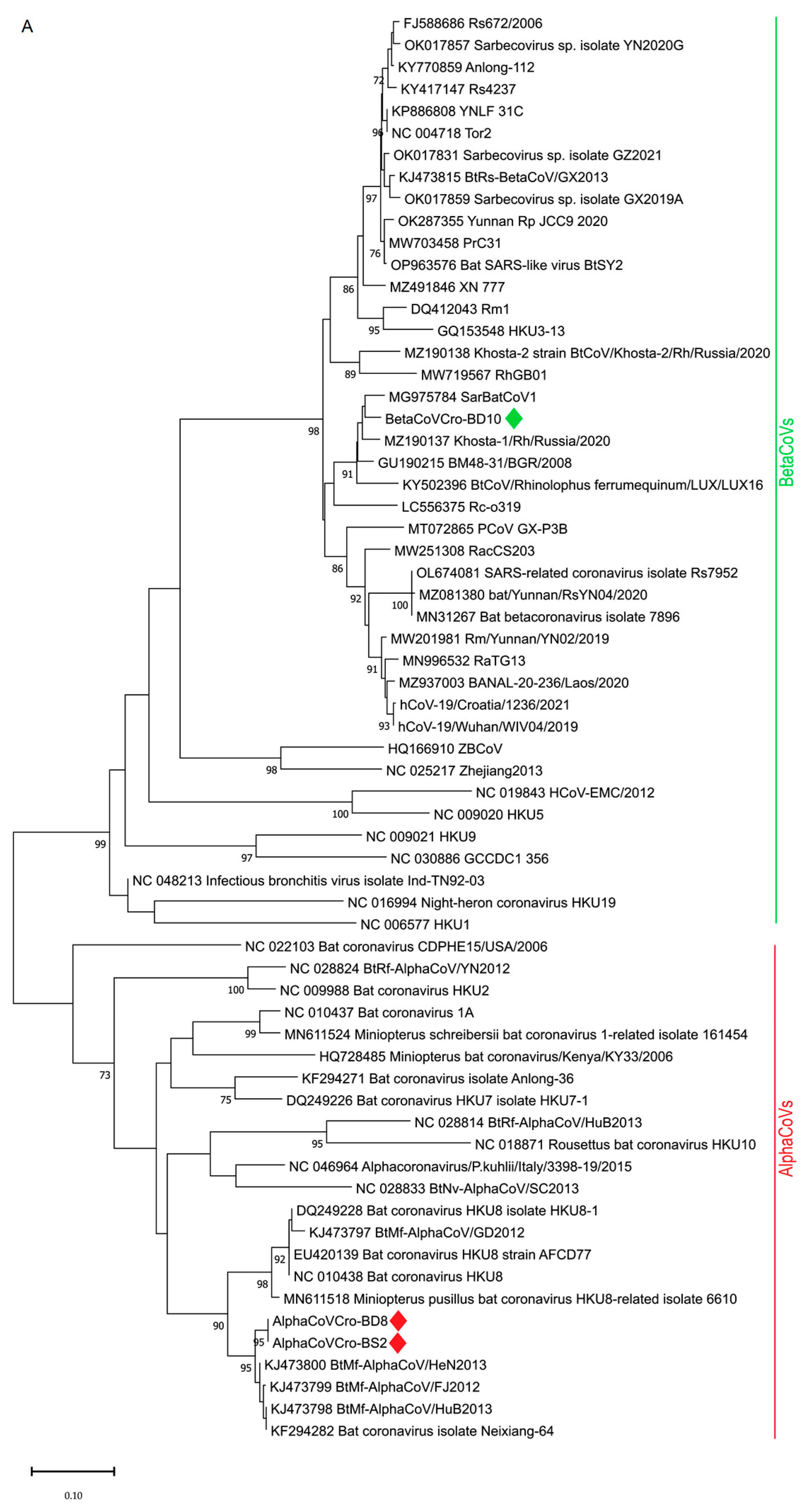 Microorganisms 11 00959 g002a