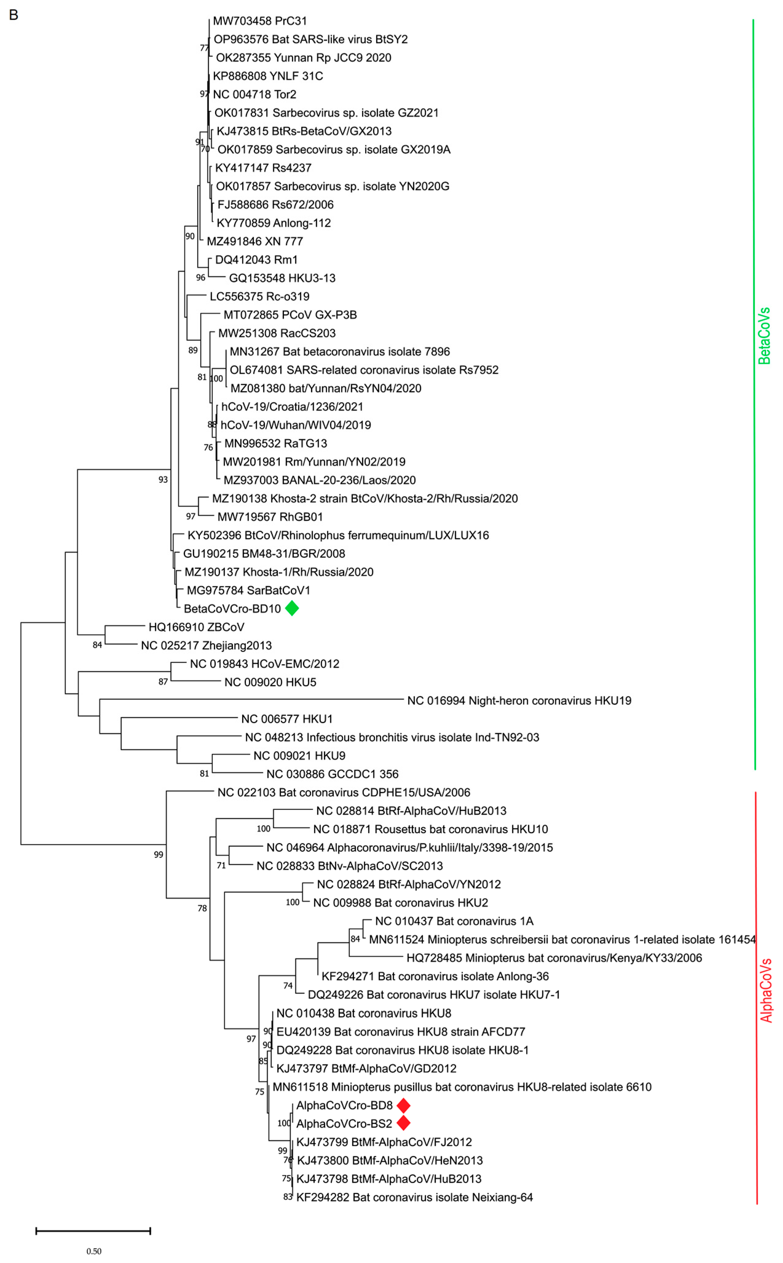 Microorganisms 11 00959 g002b
