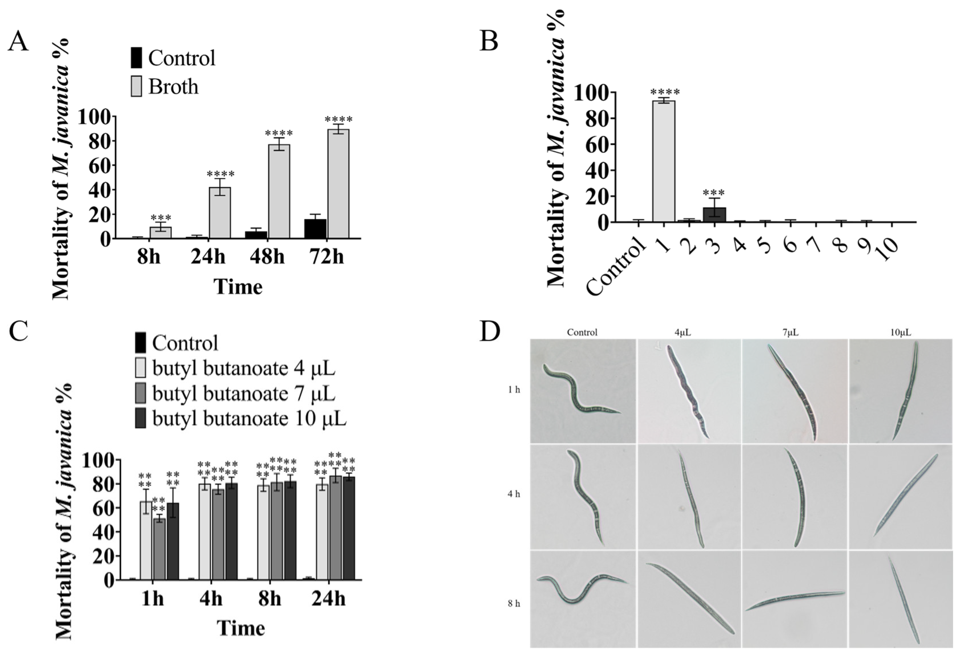 Microorganisms 11 00966 g001