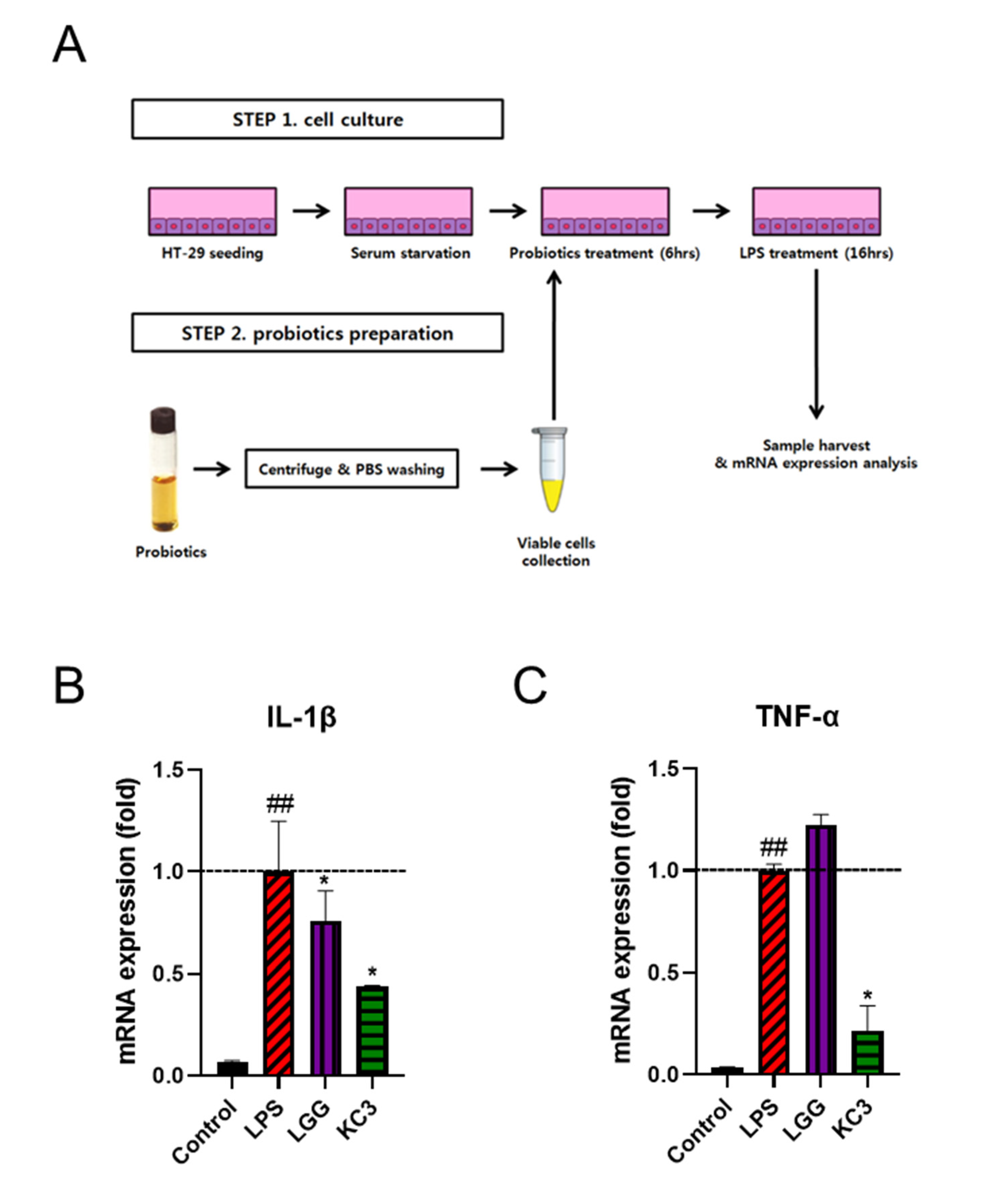 Microorganisms 11 00967 g001 Microorganisms 11 00967 g001