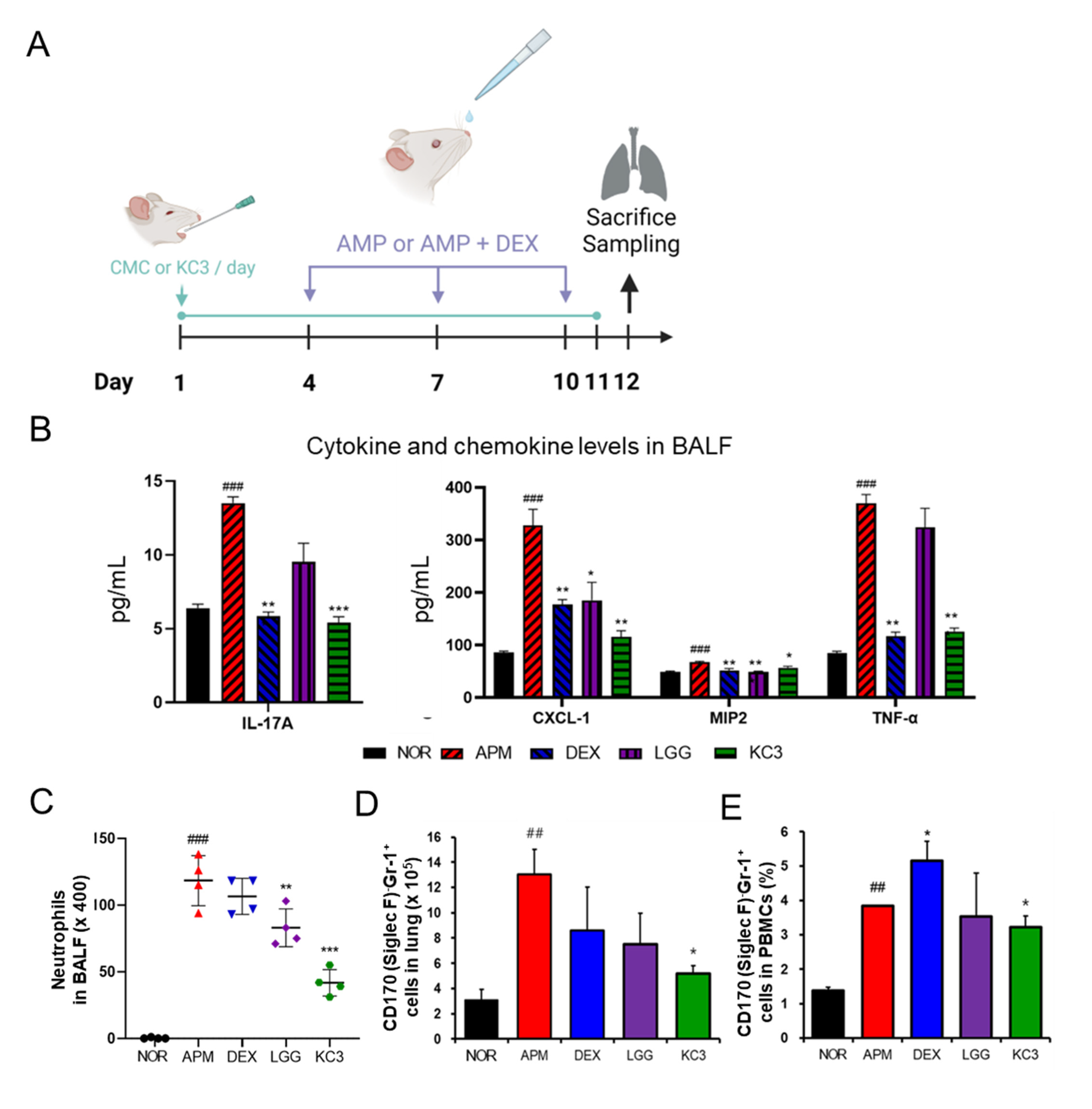 Microorganisms 11 00967 g006 Microorganisms 11 00967 g006