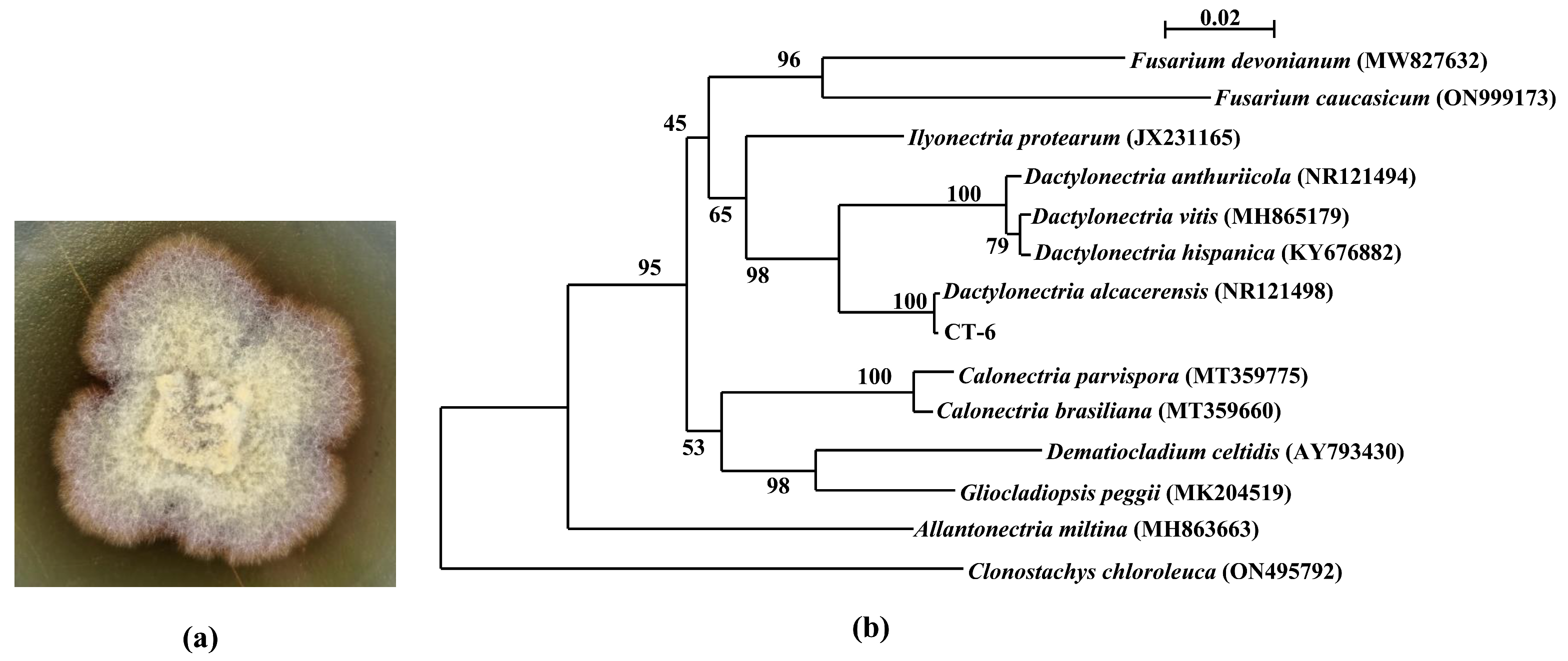 Microorganisms 11 00968 g001