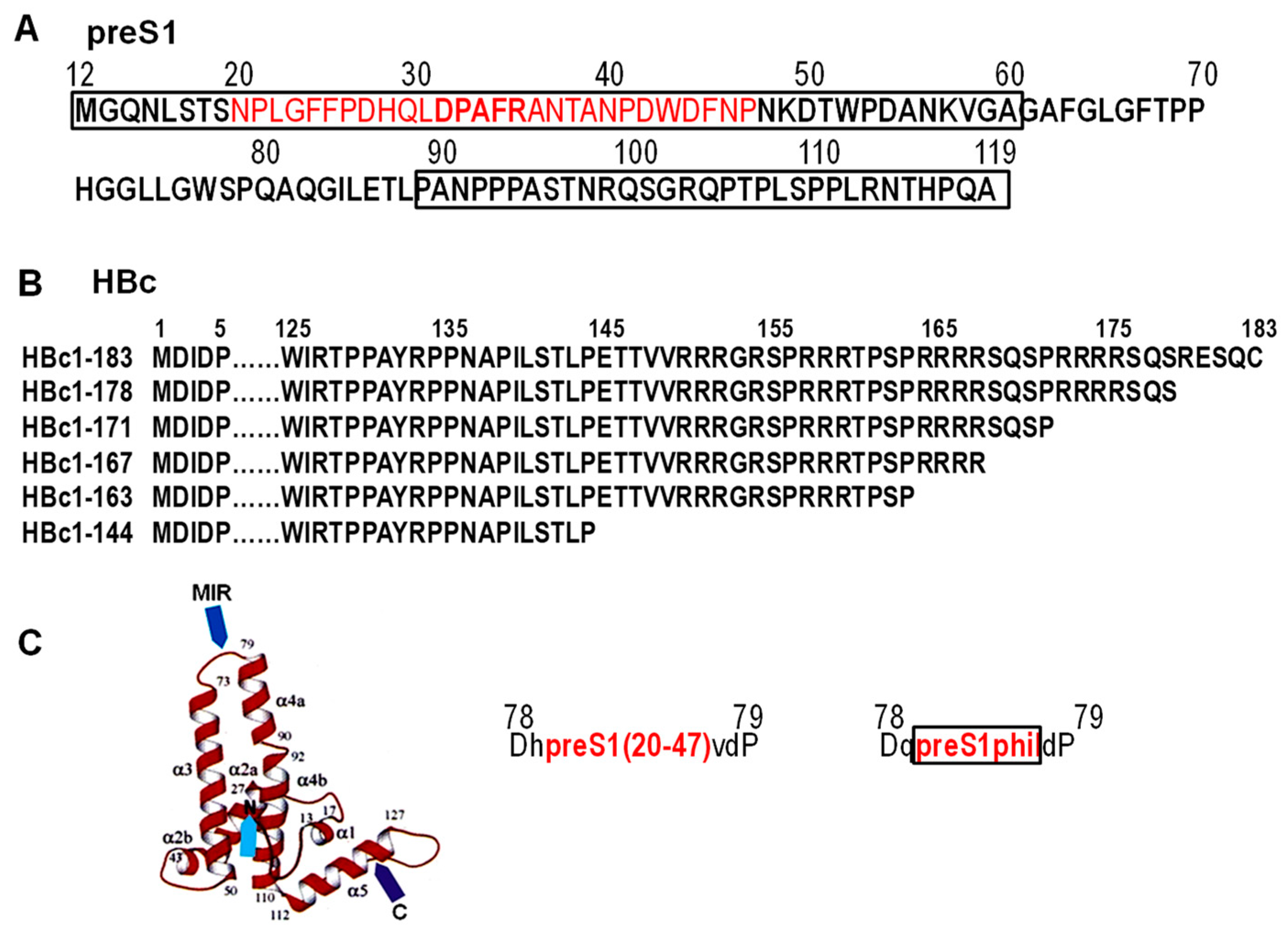 Microorganisms 11 00972 g002