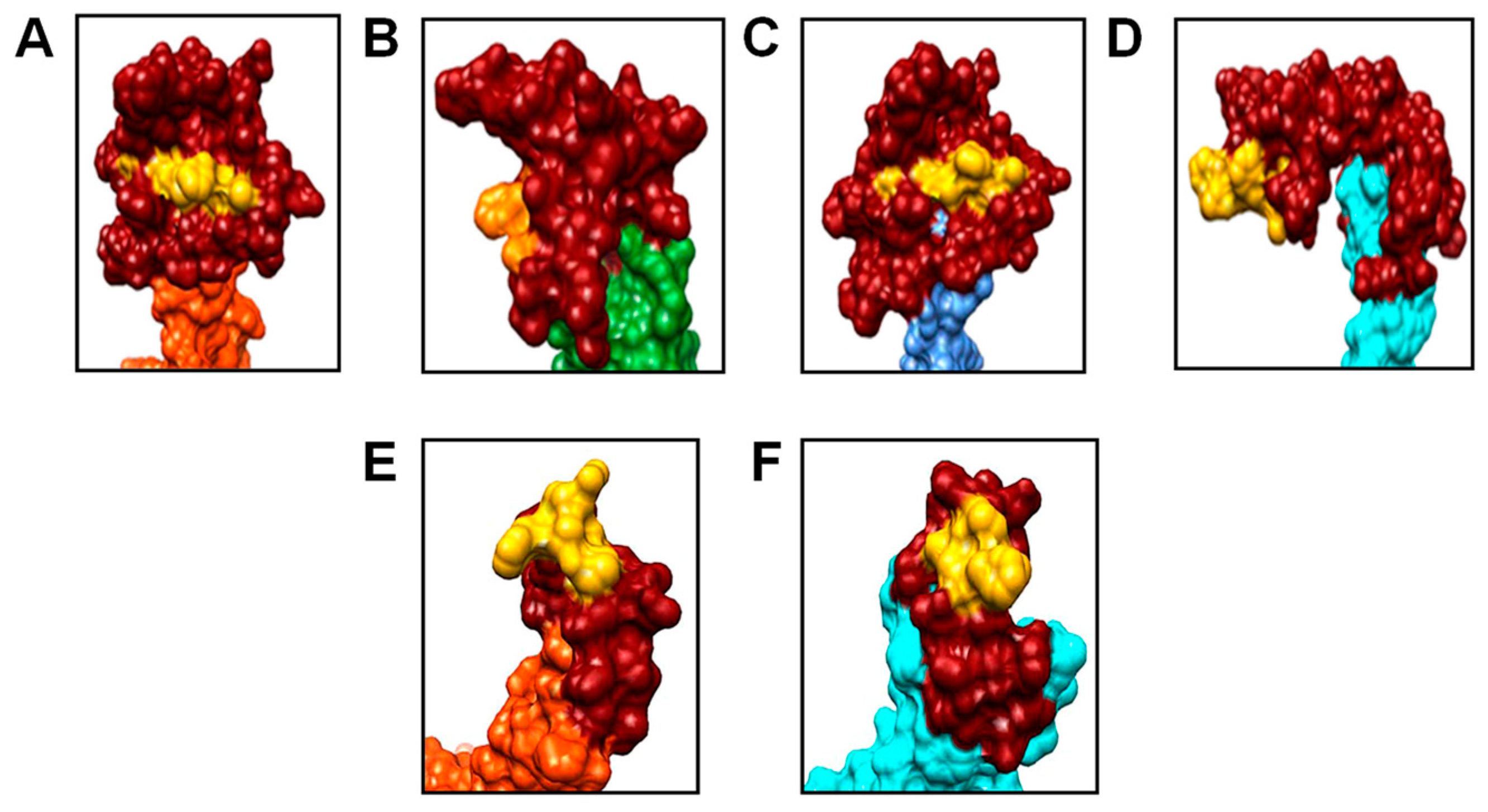 Microorganisms 11 00972 g003