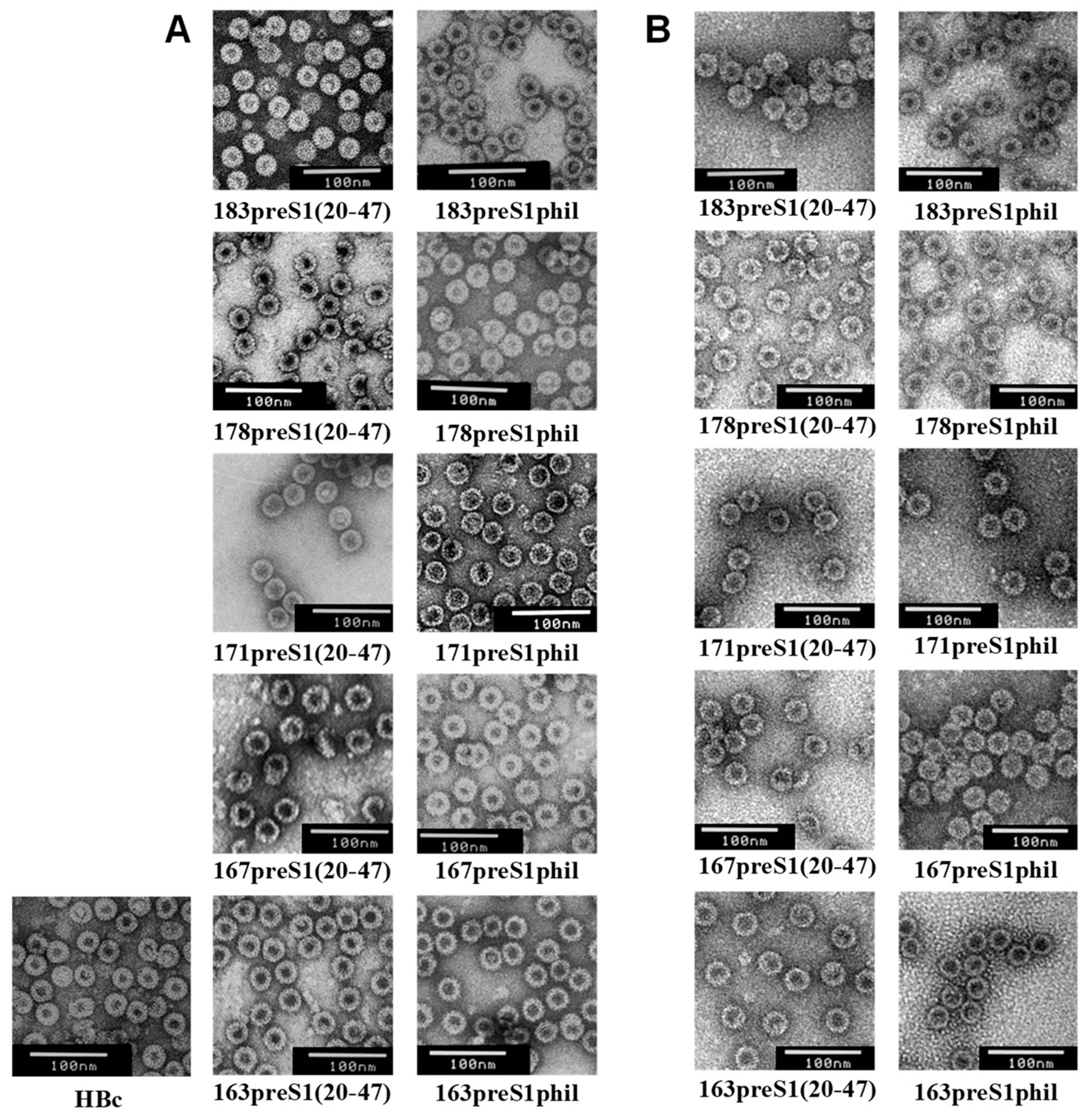 Microorganisms 11 00972 g008