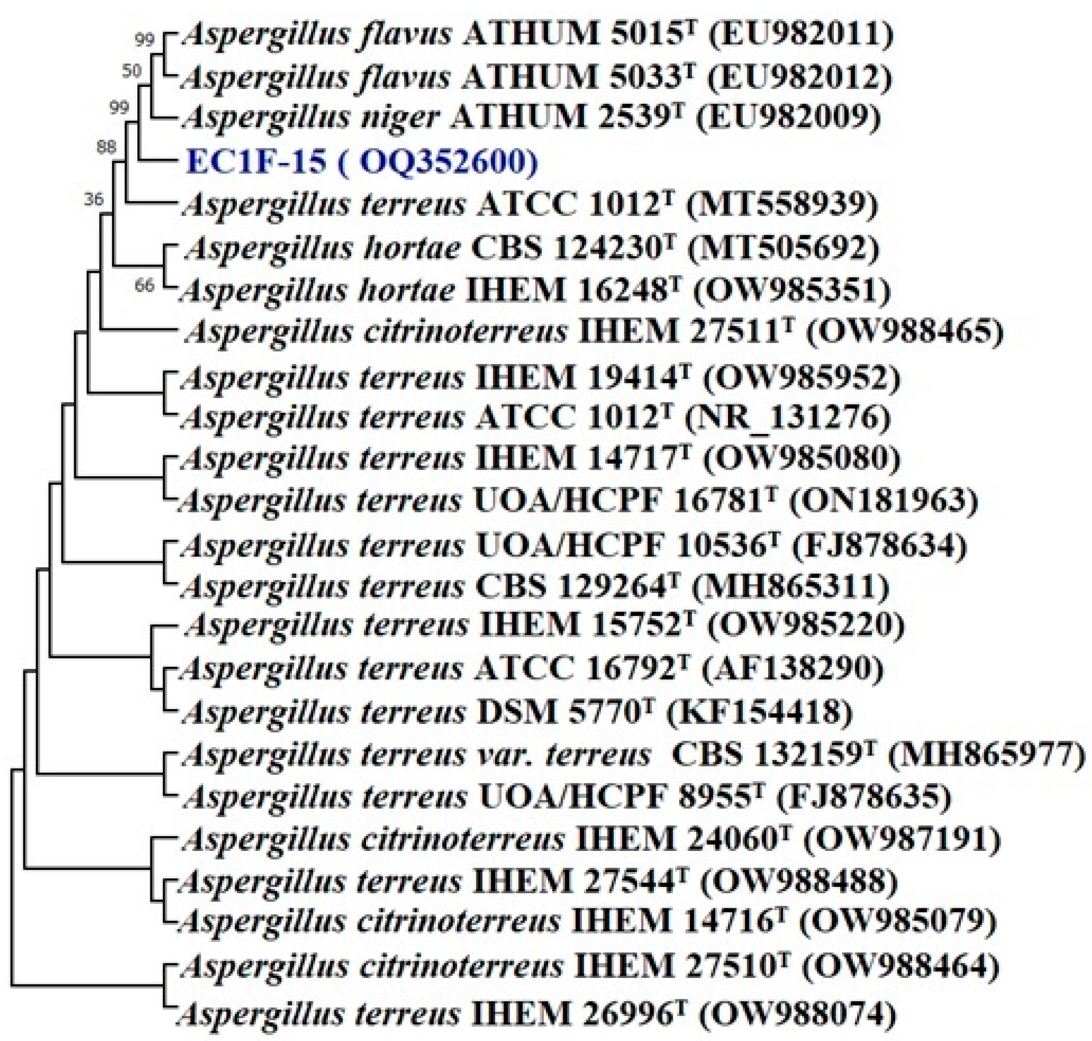 Microorganisms 11 00973 g001 Microorganisms 11 00973 g001