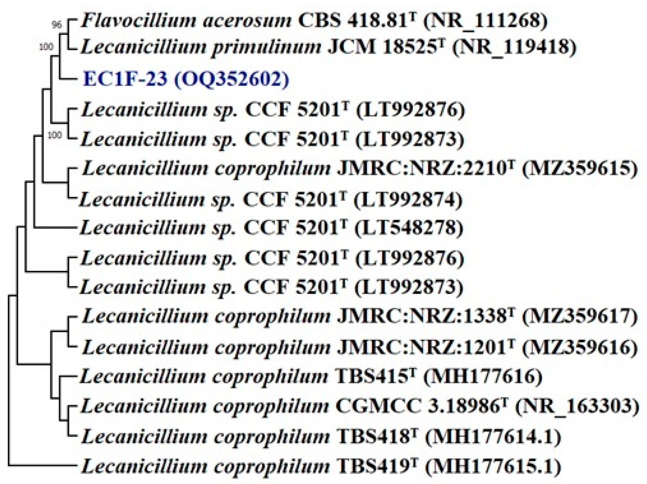 Microorganisms 11 00973 g002 Microorganisms 11 00973 g002