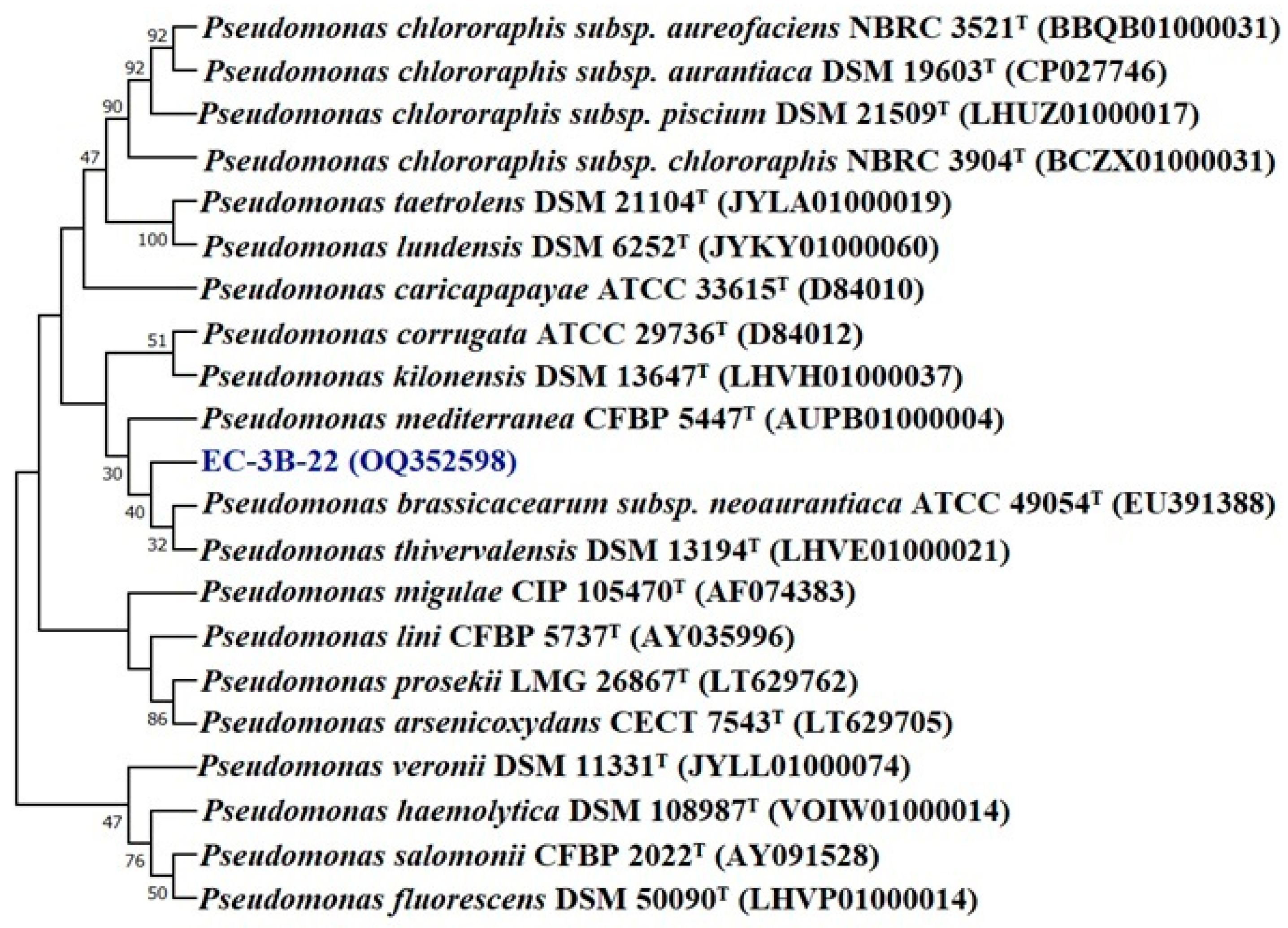 Microorganisms 11 00973 g003 Microorganisms 11 00973 g003