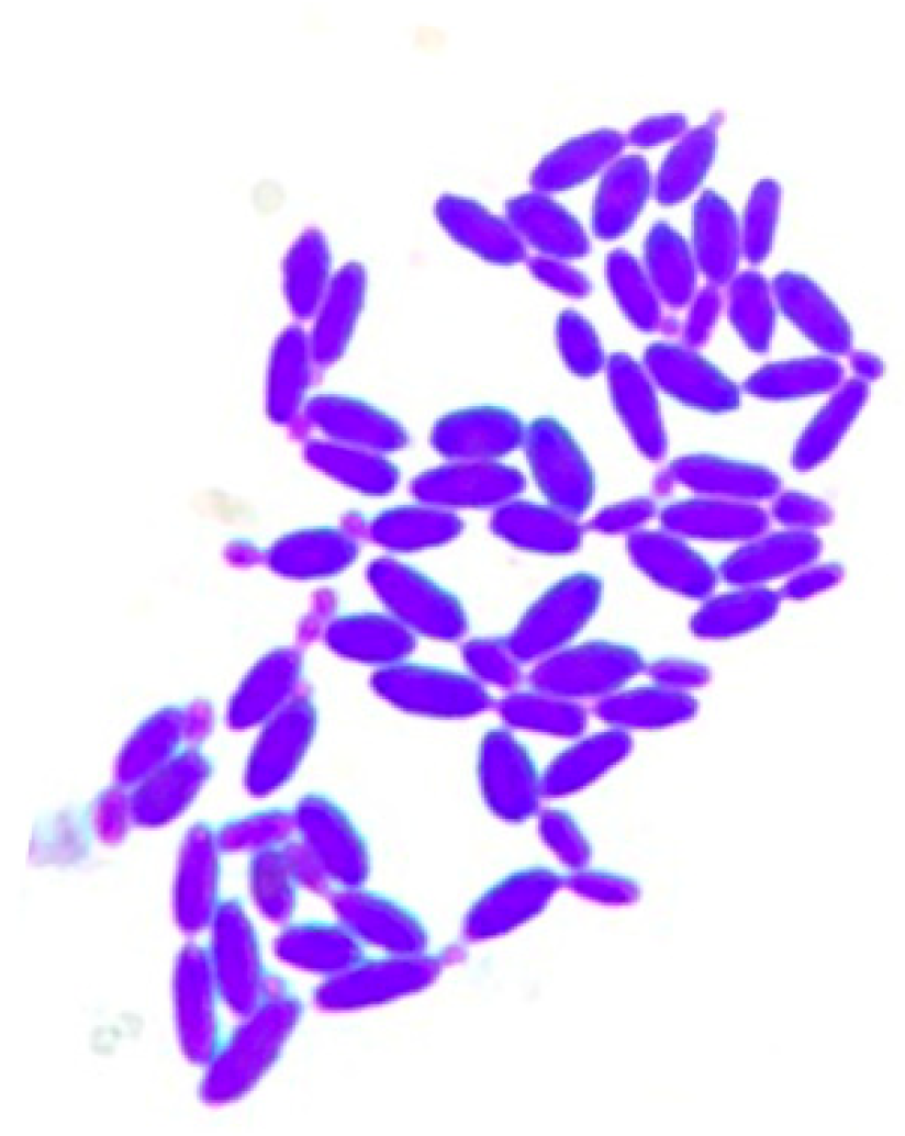 Microorganisms 11 00977 g001 Microorganisms 11 00977 g001