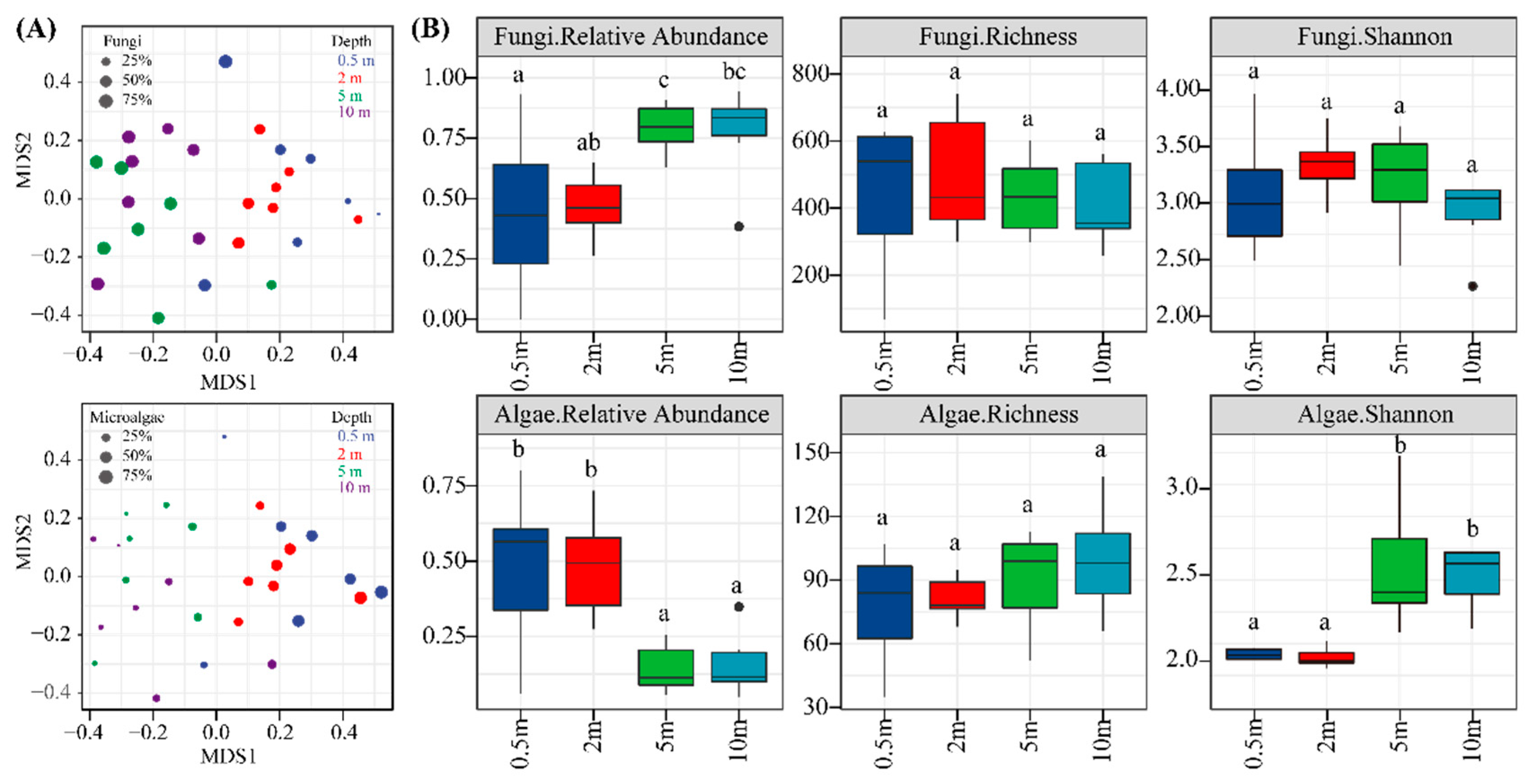 Eukaryotic Community Structure and Interspecific