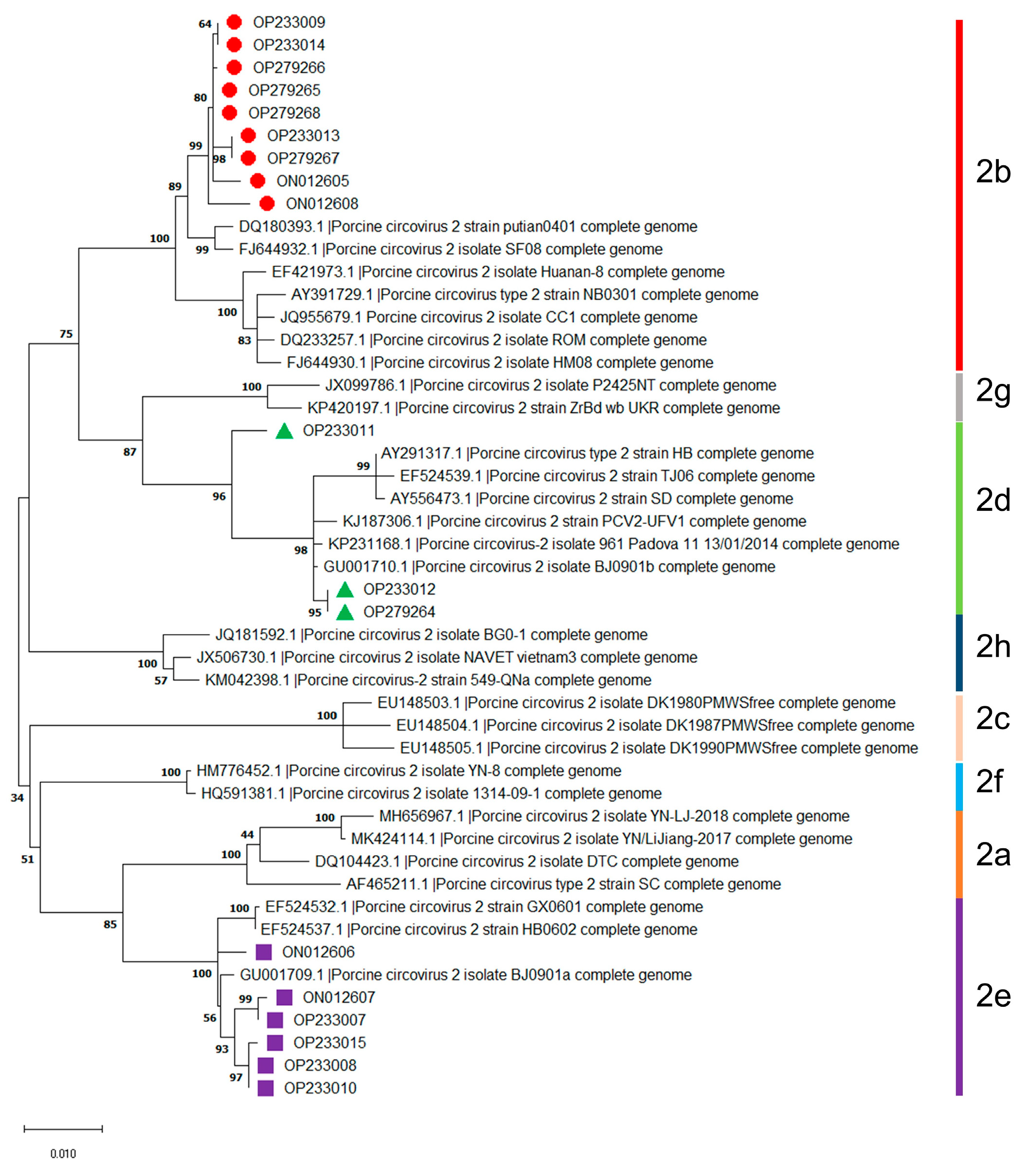 Microorganisms 11 00983 g001