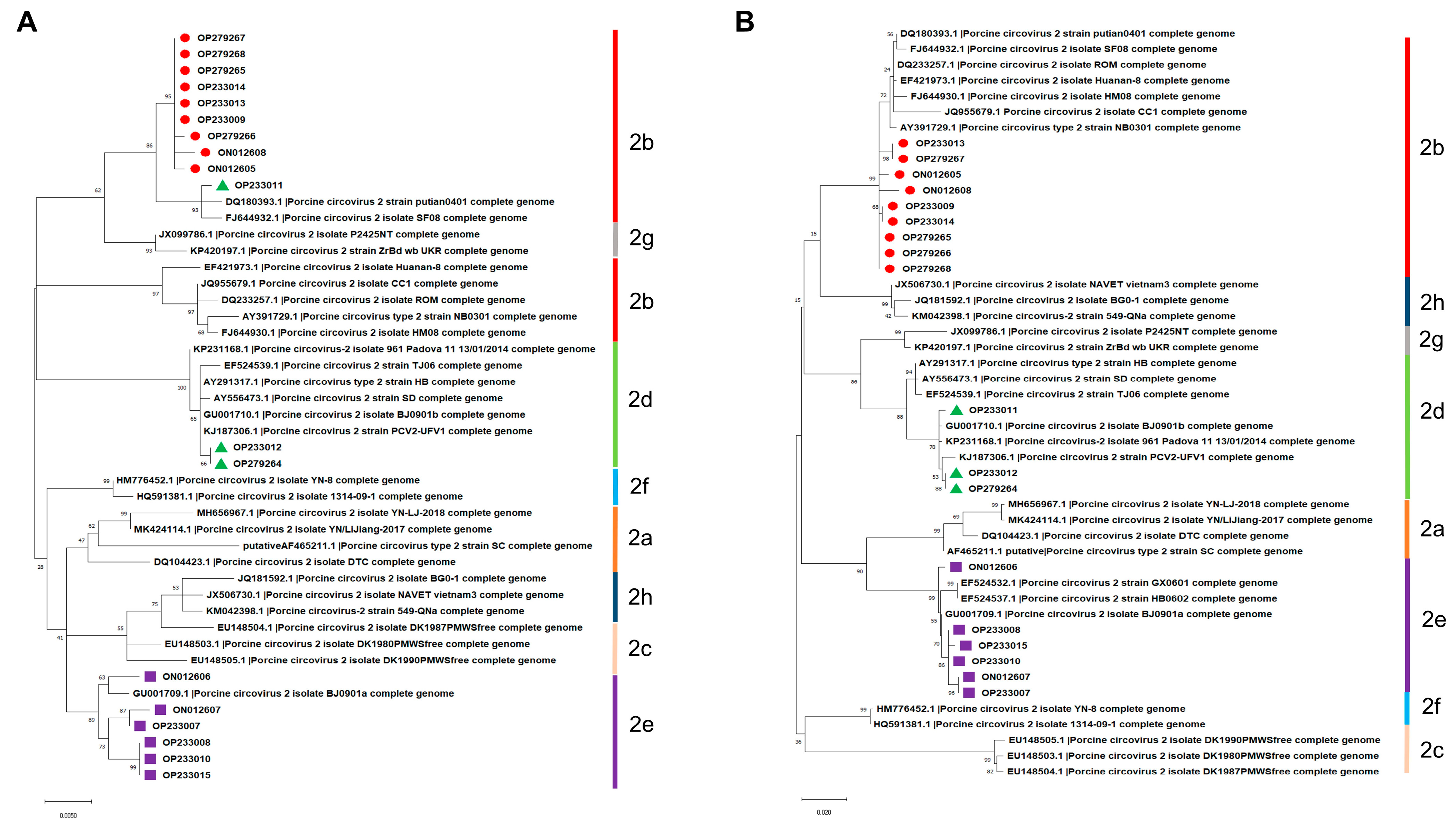 Microorganisms 11 00983 g002