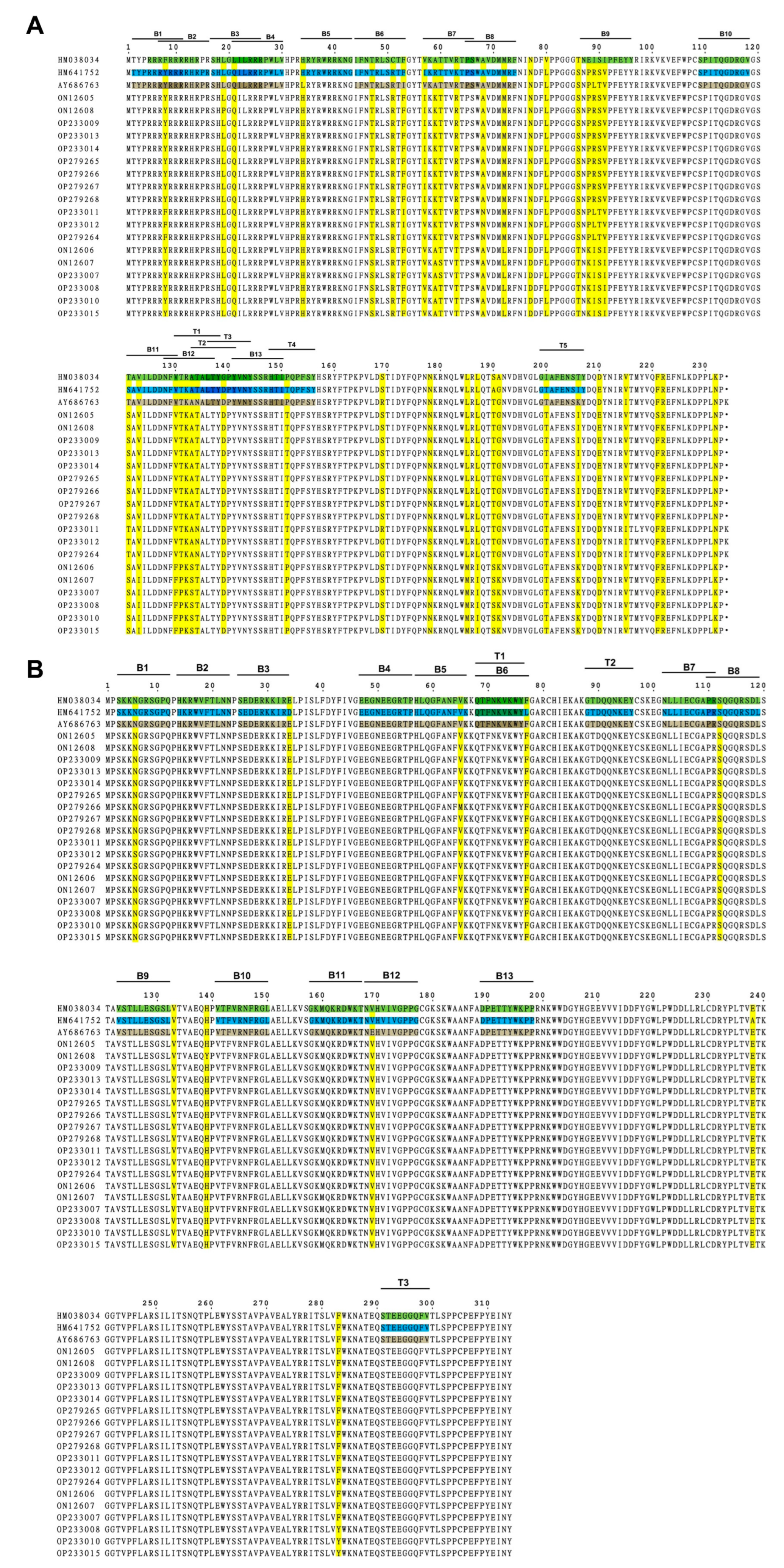 Microorganisms 11 00983 g004