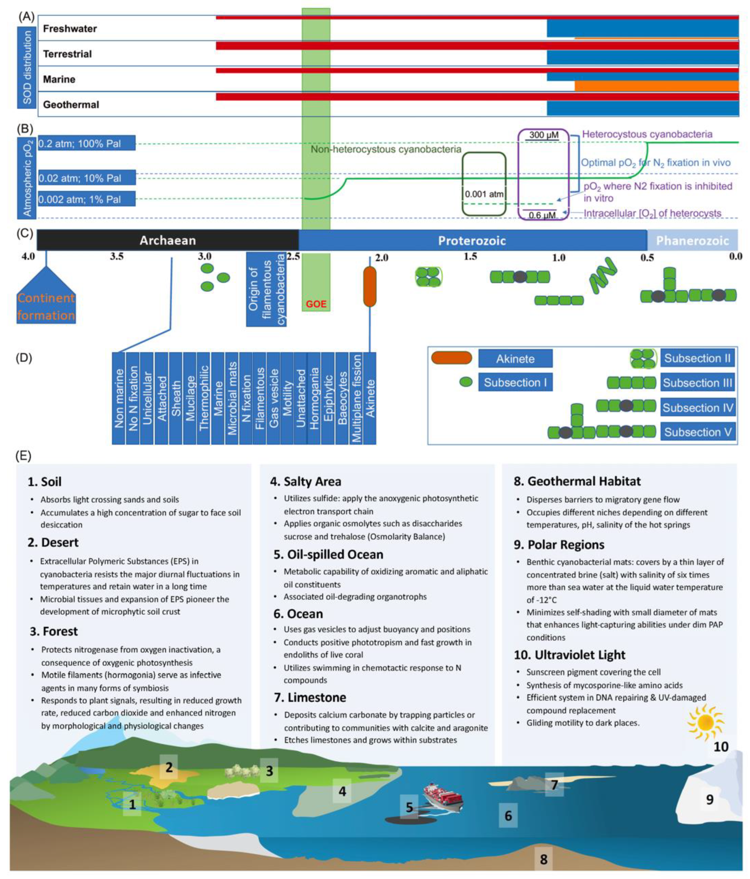 Microorganisms 11 00987 g001 Microorganisms 11 00987 g001