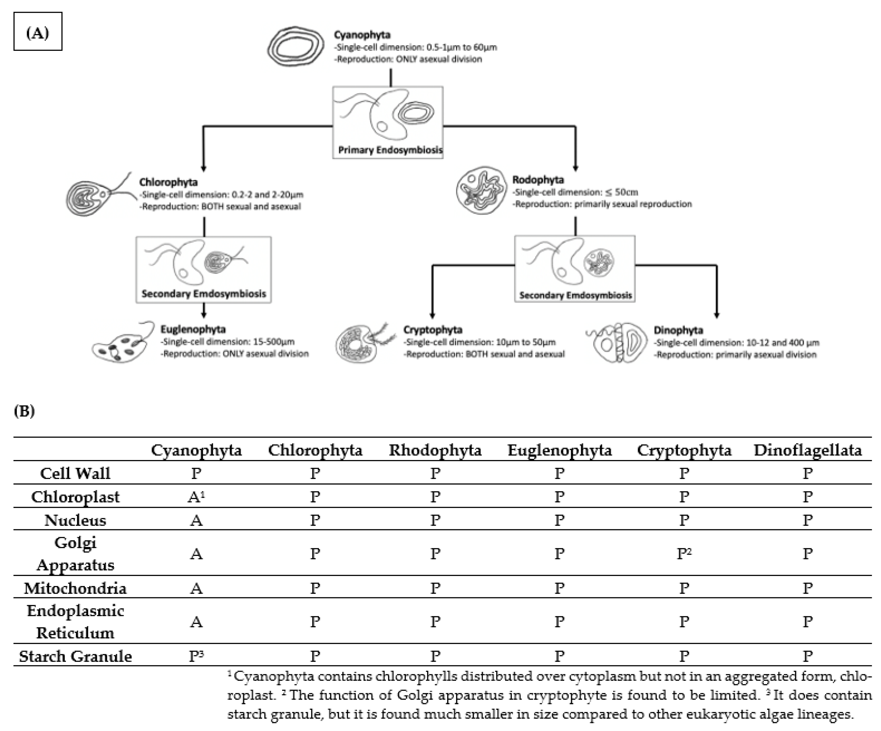 Microorganisms 11 00987 g003 Microorganisms 11 00987 g003