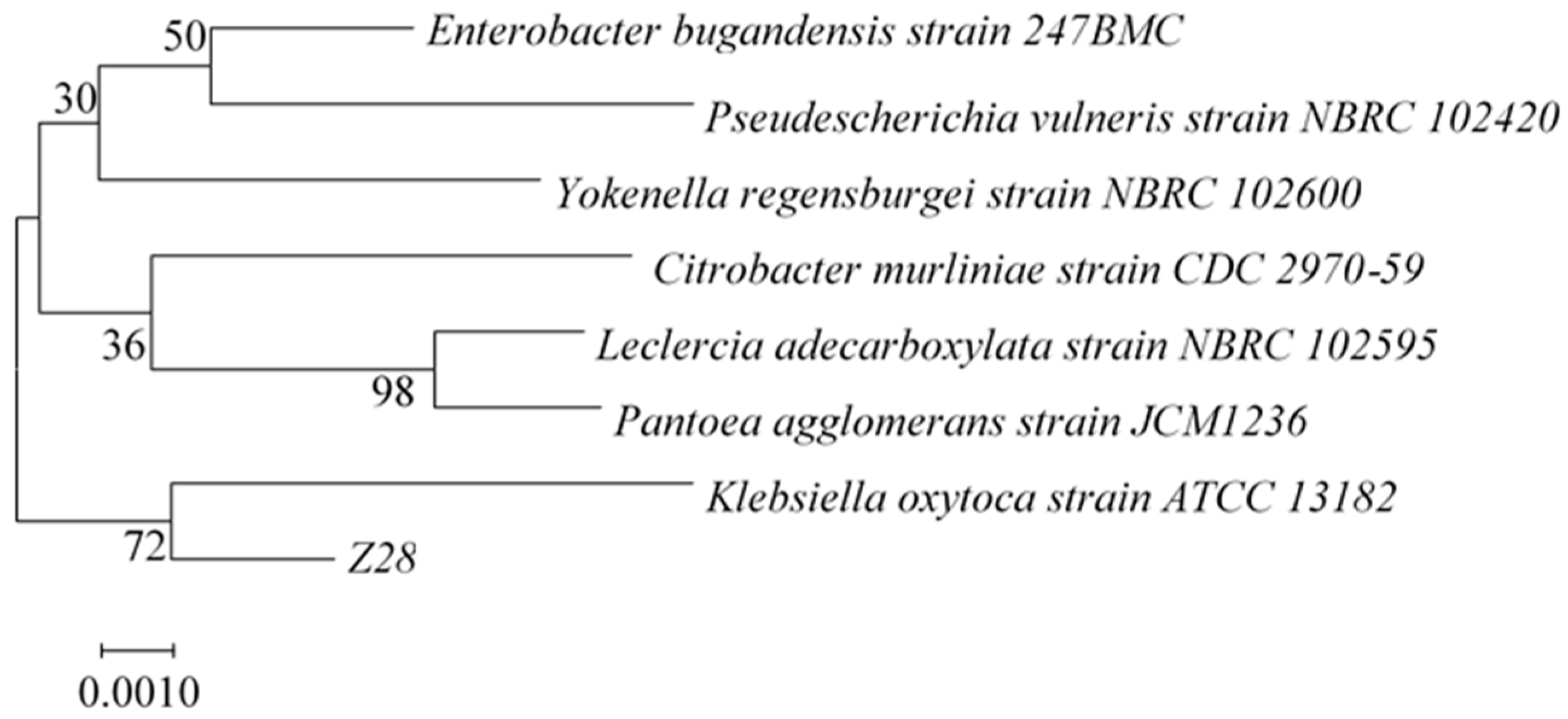 Microorganisms 11 00989 g002 Microorganisms 11 00989 g002