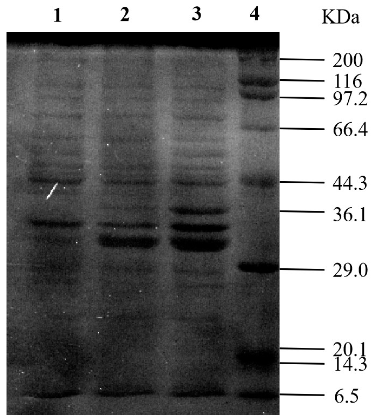 Microorganisms 11 00989 g003 Microorganisms 11 00989 g003