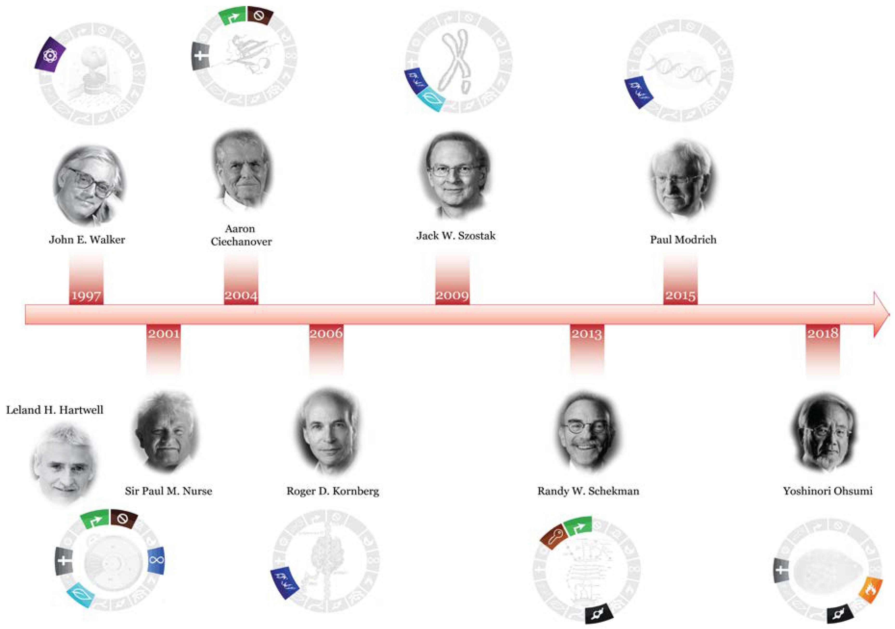 Microorganisms 11 00993 g002 Microorganisms 11 00993 g002