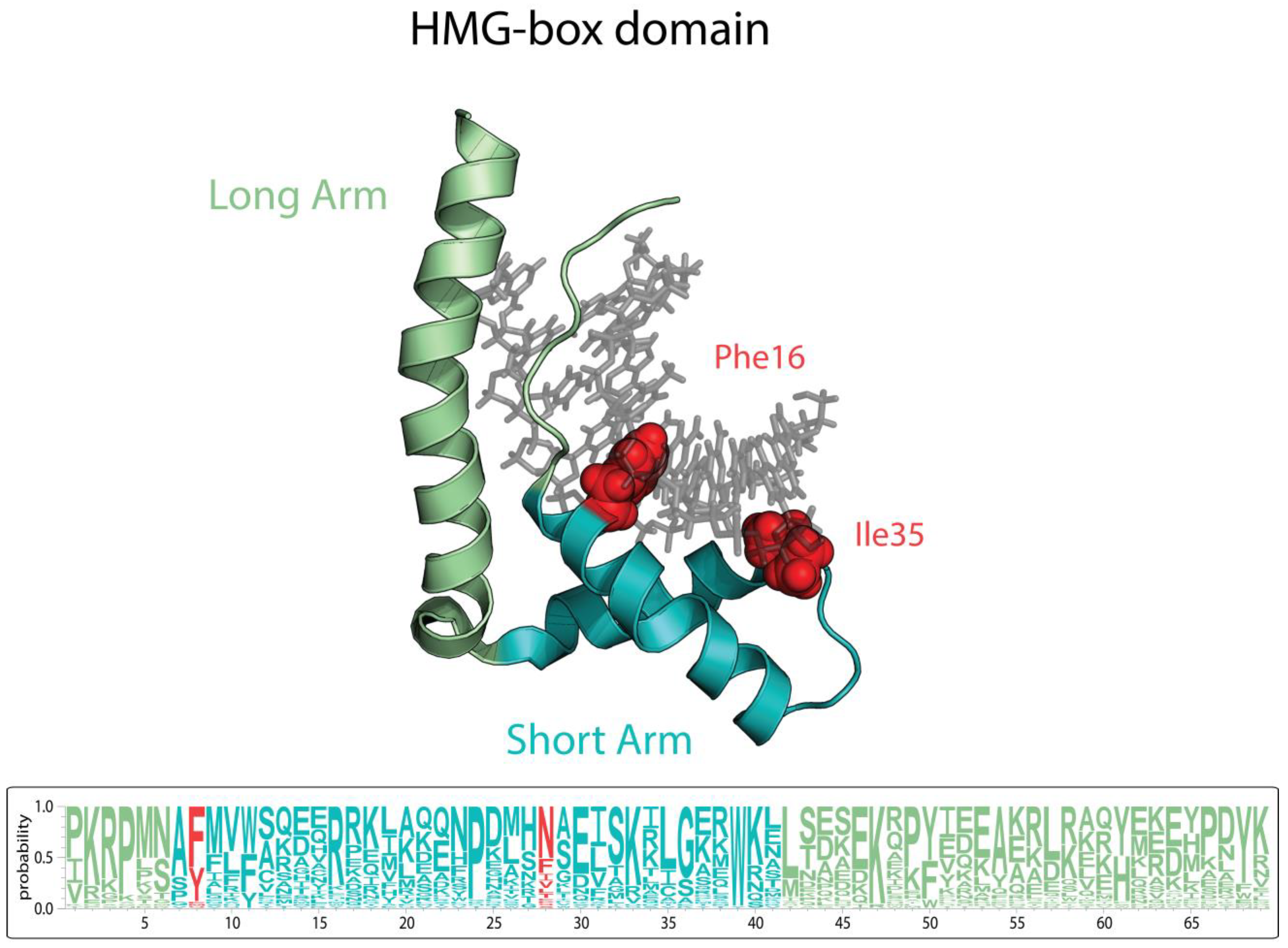 Microorganisms 11 00993 g003 Microorganisms 11 00993 g003