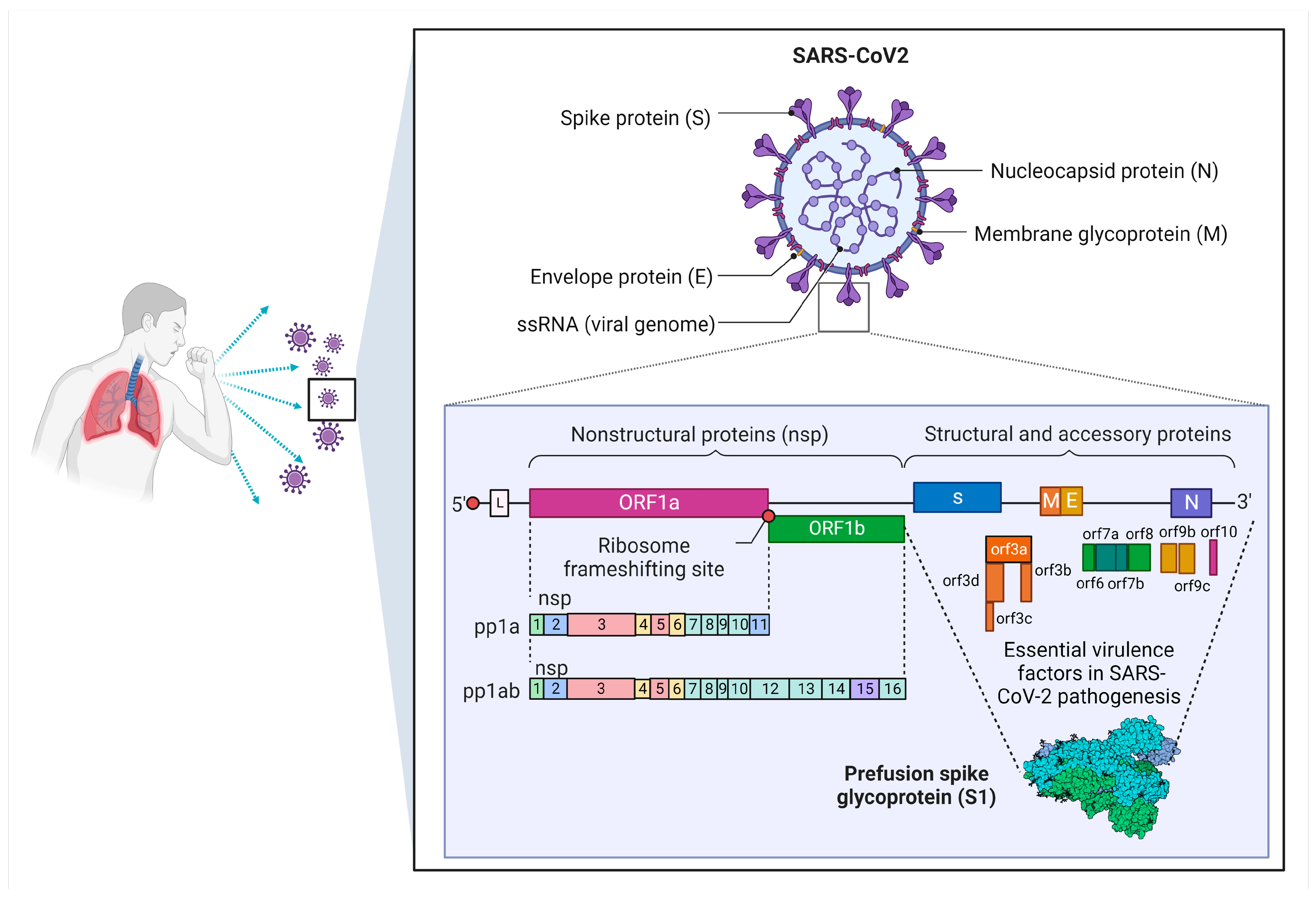 Microorganisms 11 01000 g002 Microorganisms 11 01000 g002
