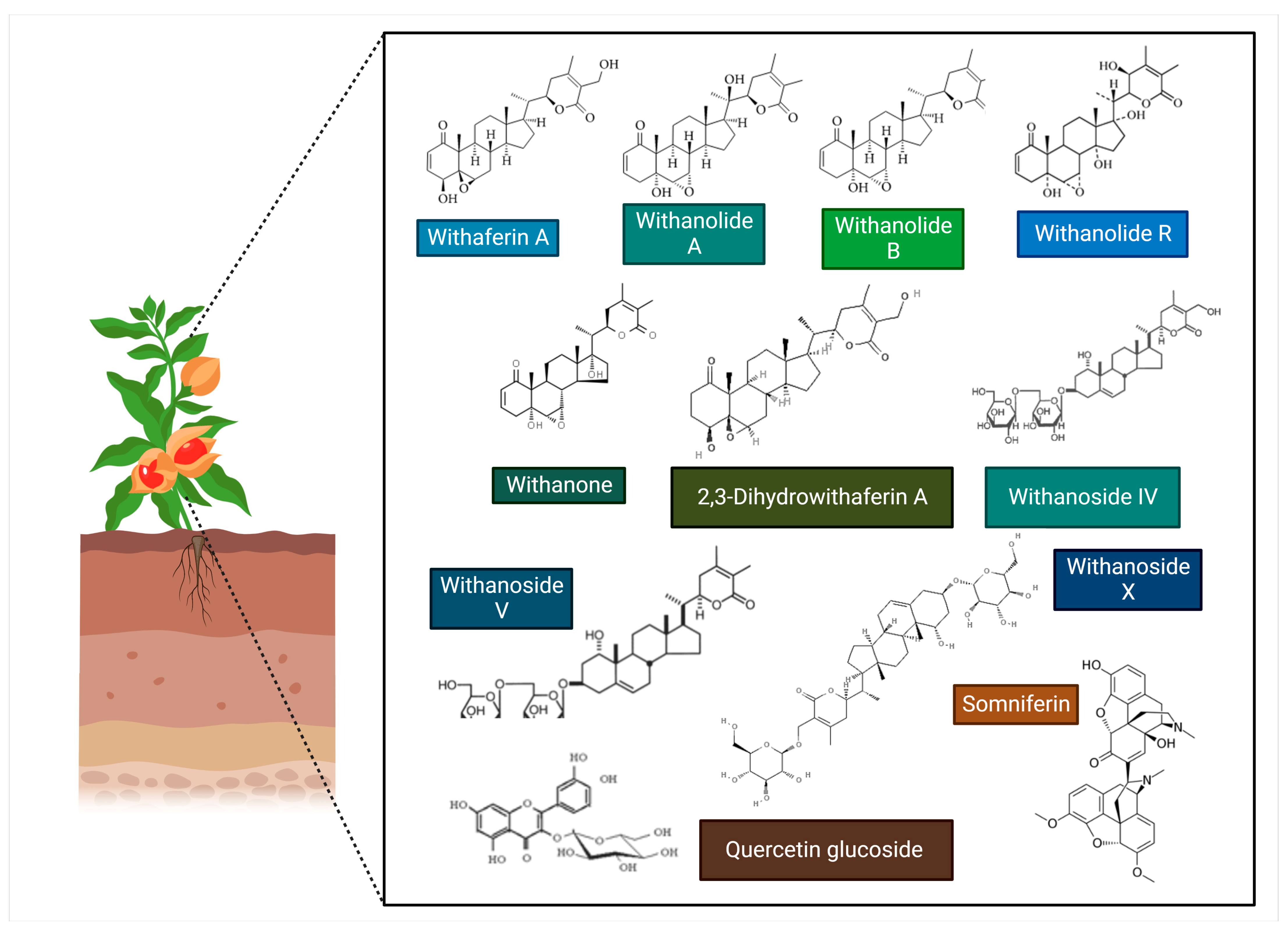 Microorganisms 11 01000 g005 Microorganisms 11 01000 g005
