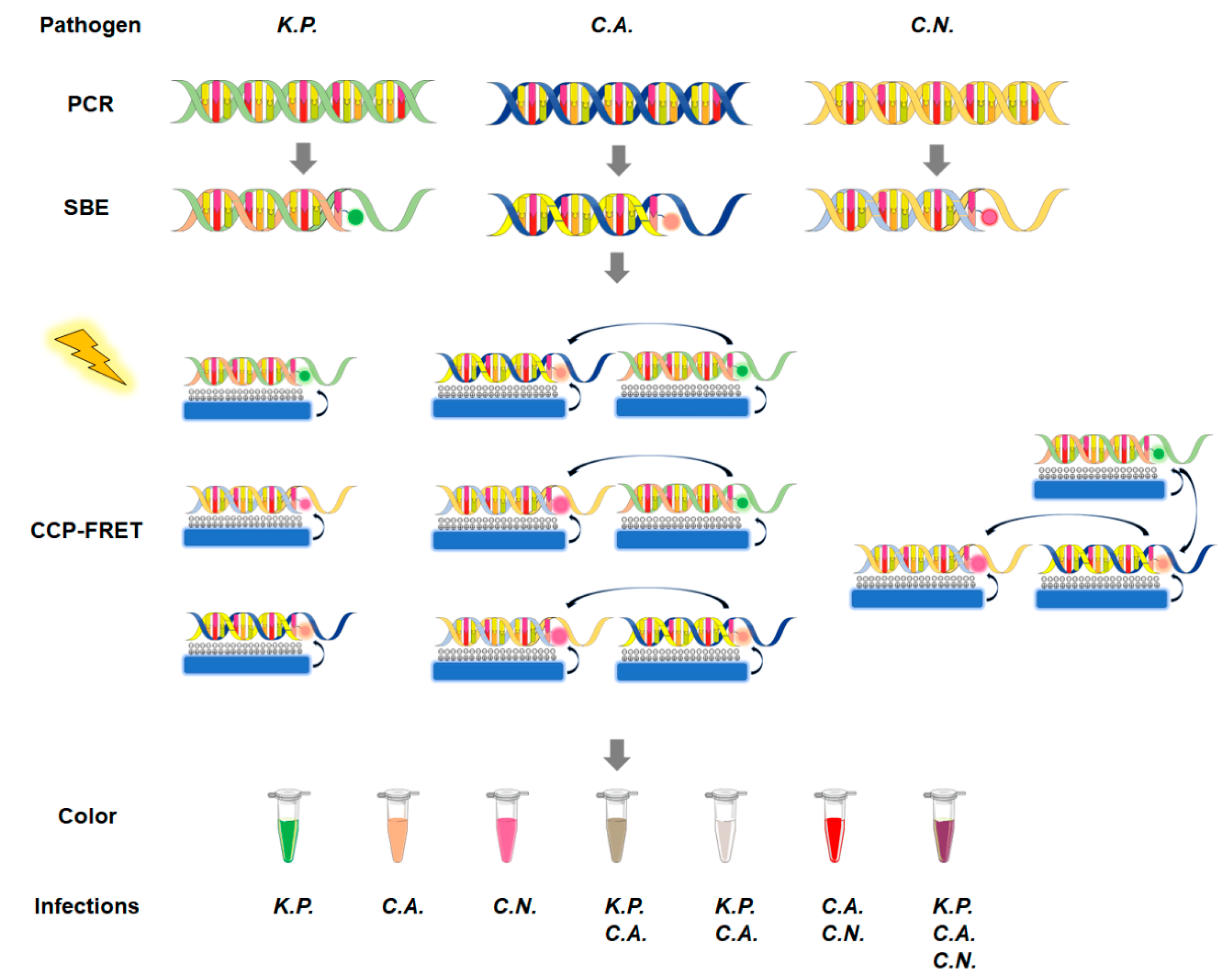 Microorganisms 11 01001 g001 Microorganisms 11 01001 g001