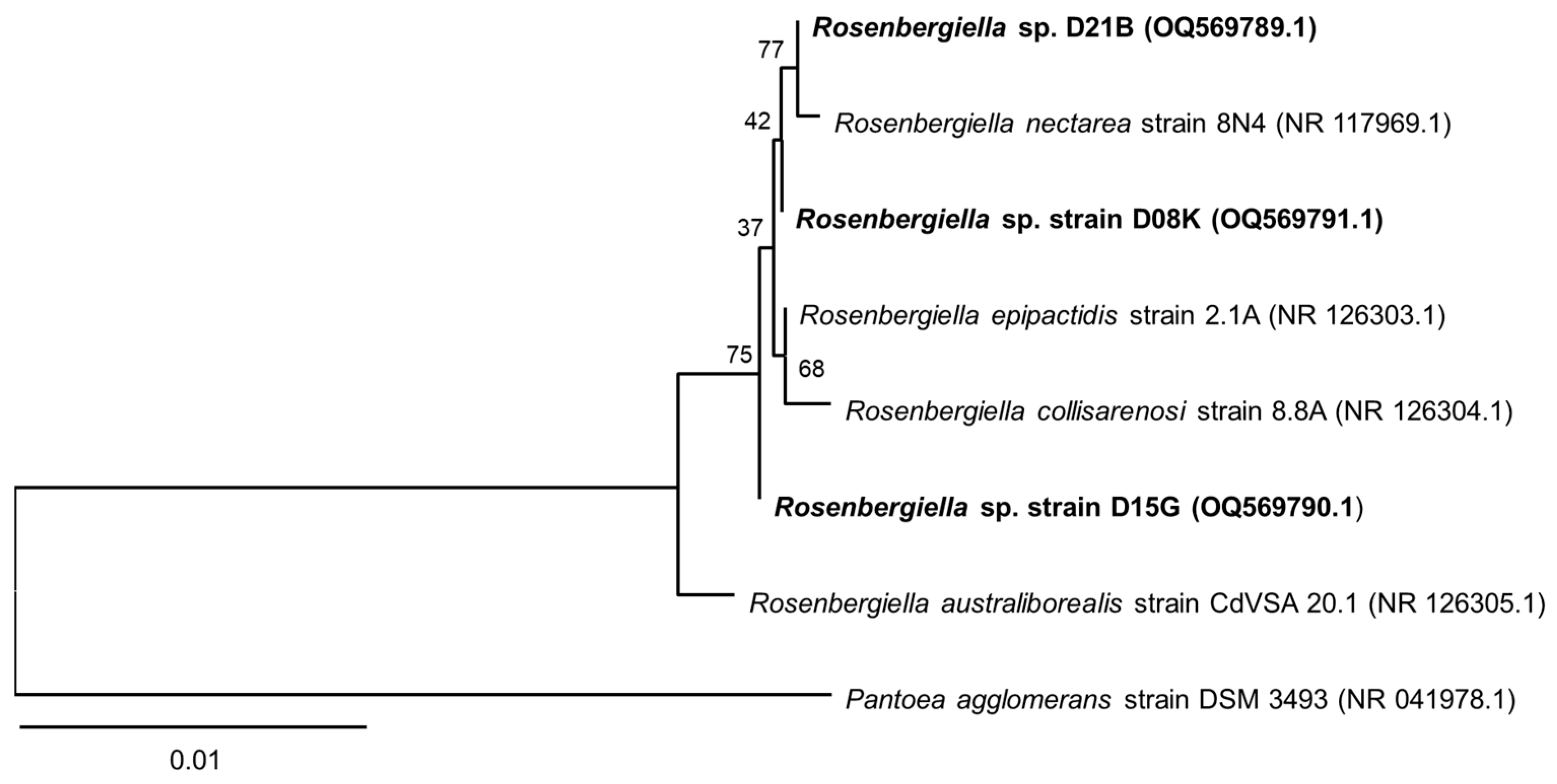 Microorganisms 11 01005 g001