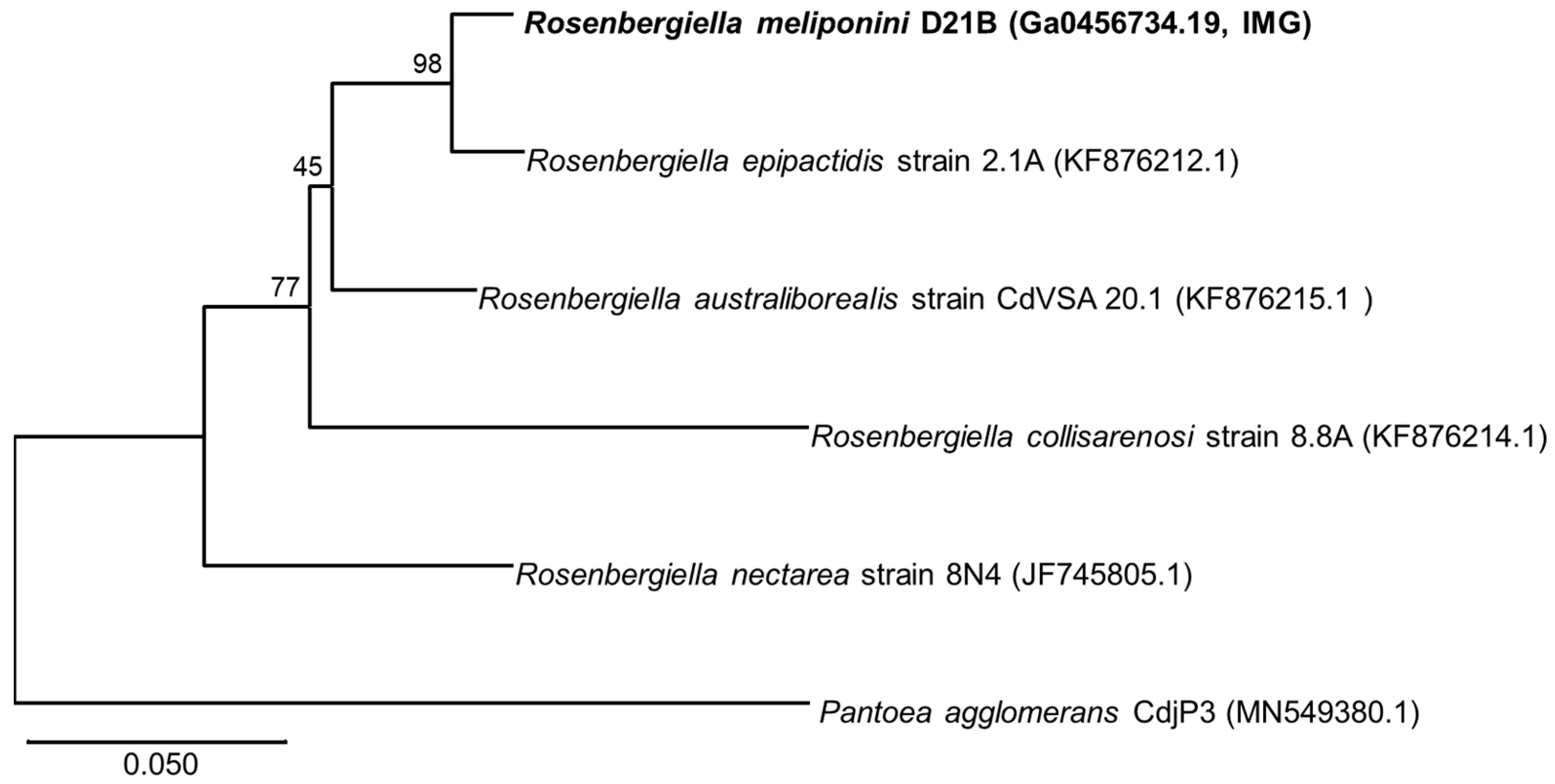 Microorganisms 11 01005 g004