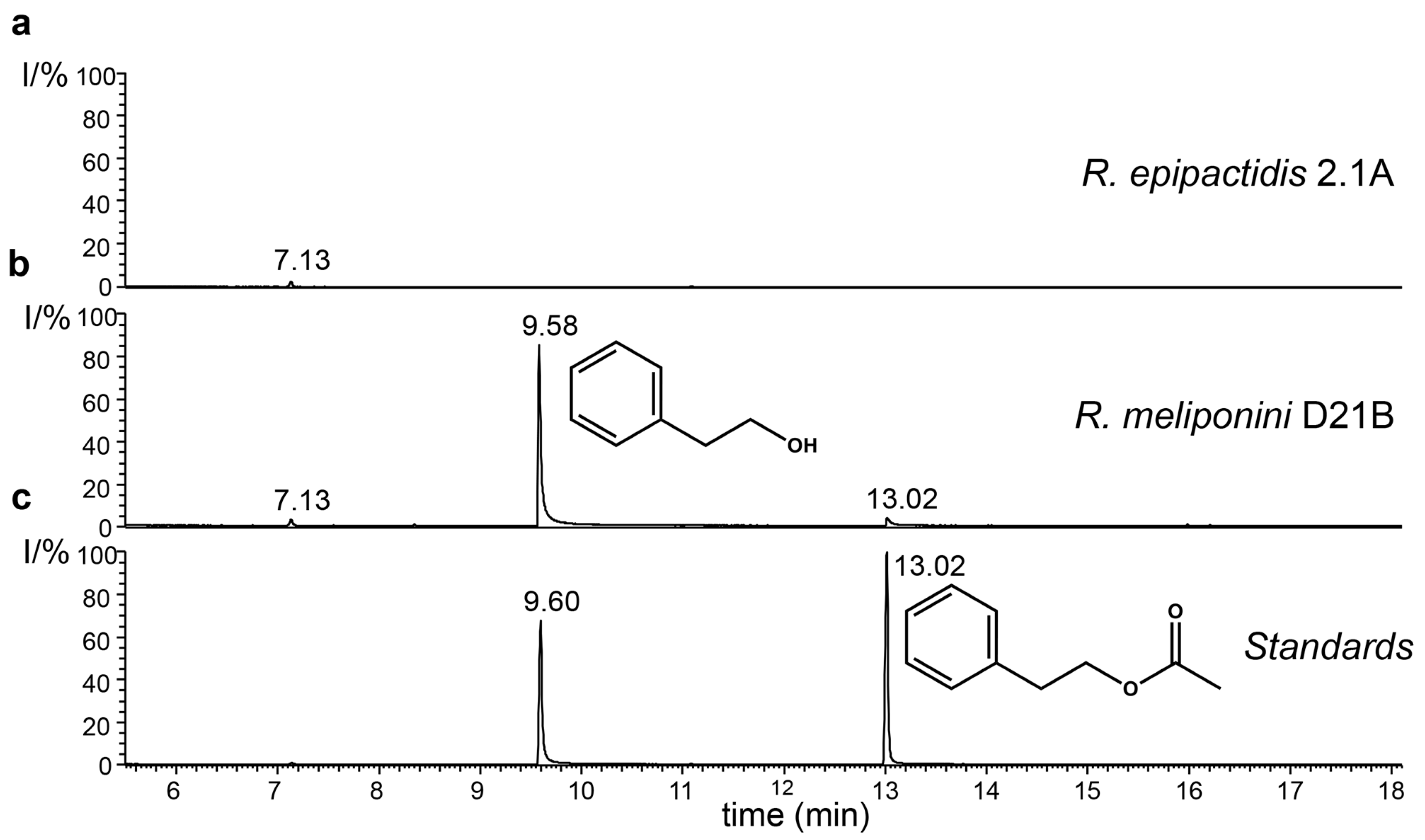 Microorganisms 11 01005 g007