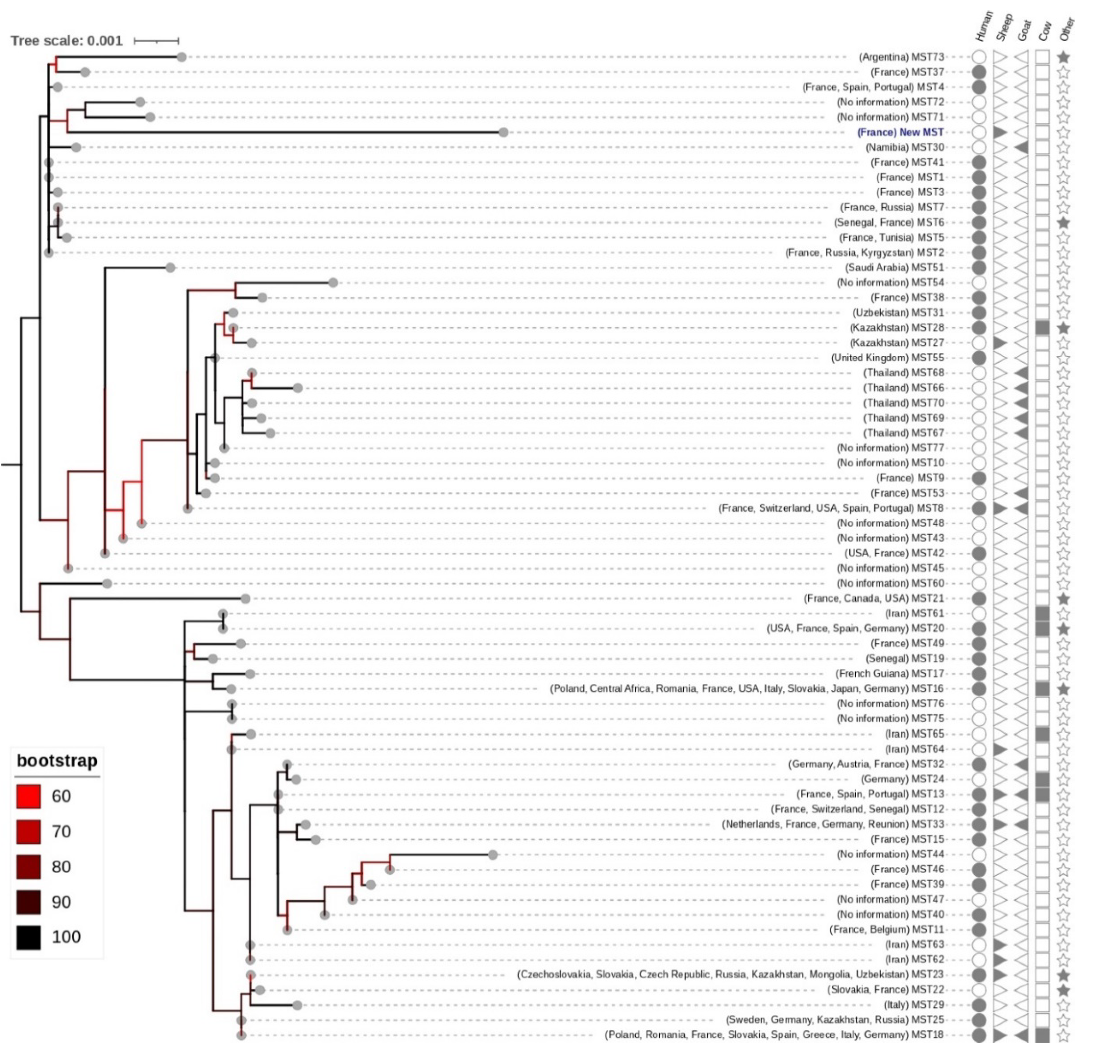Microorganisms 11 01016 g002