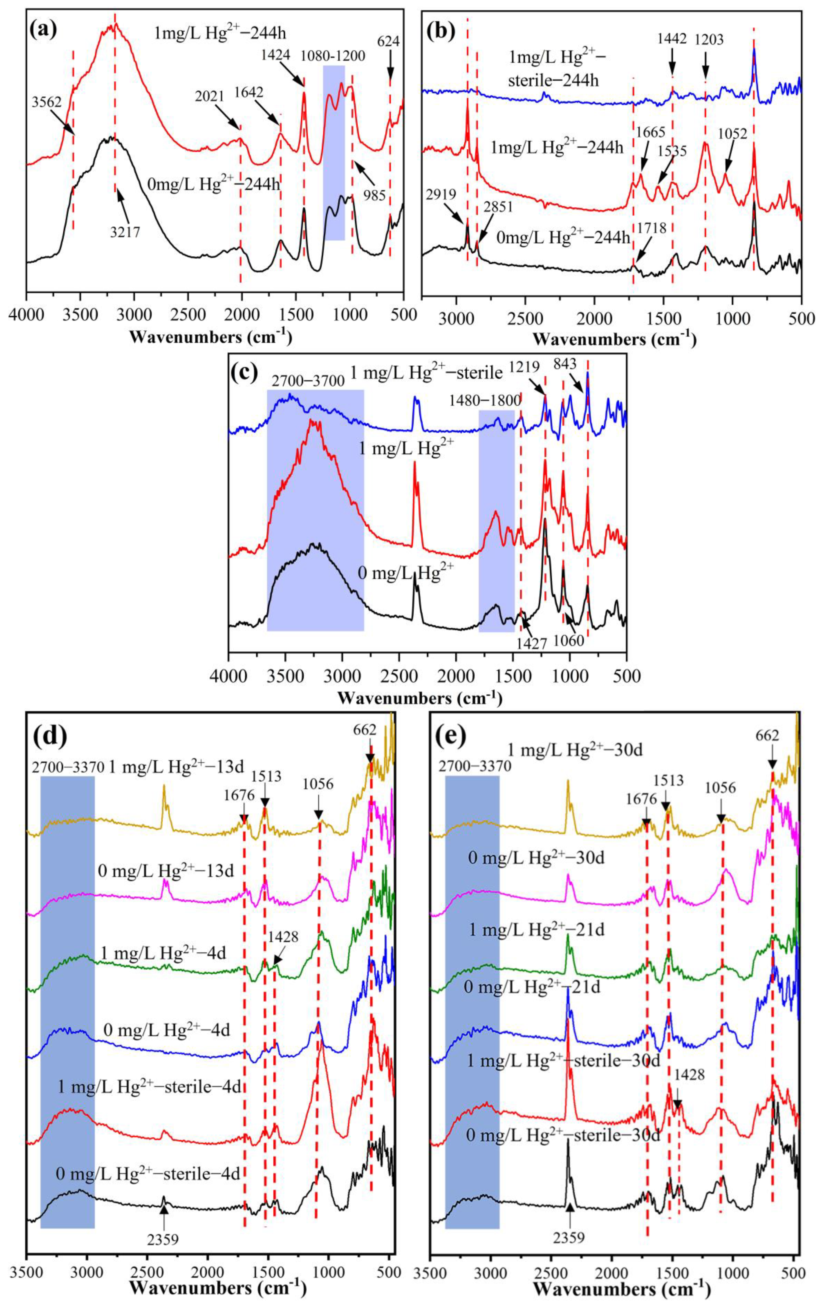 Microorganisms 11 01028 g006