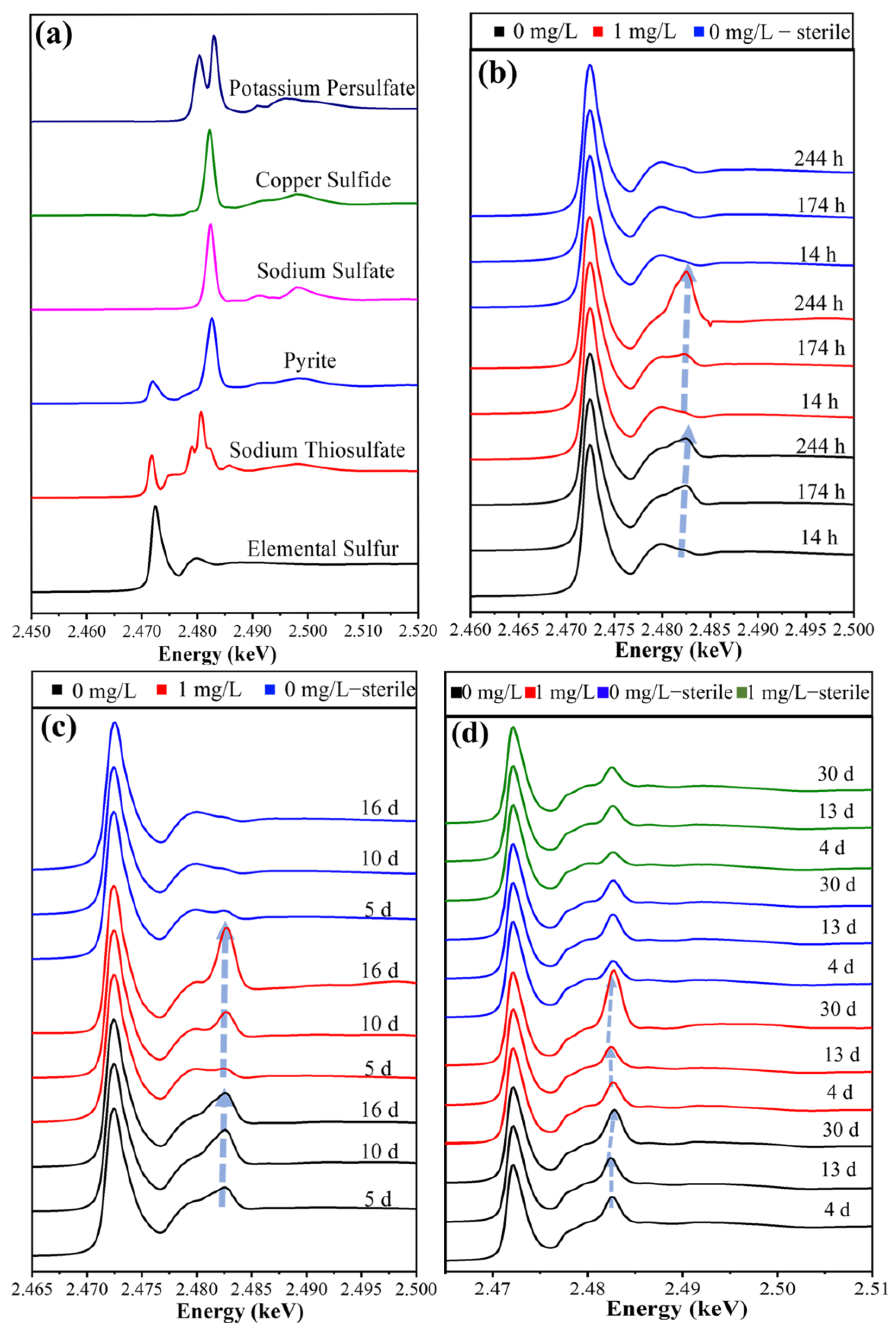 Microorganisms 11 01028 g008