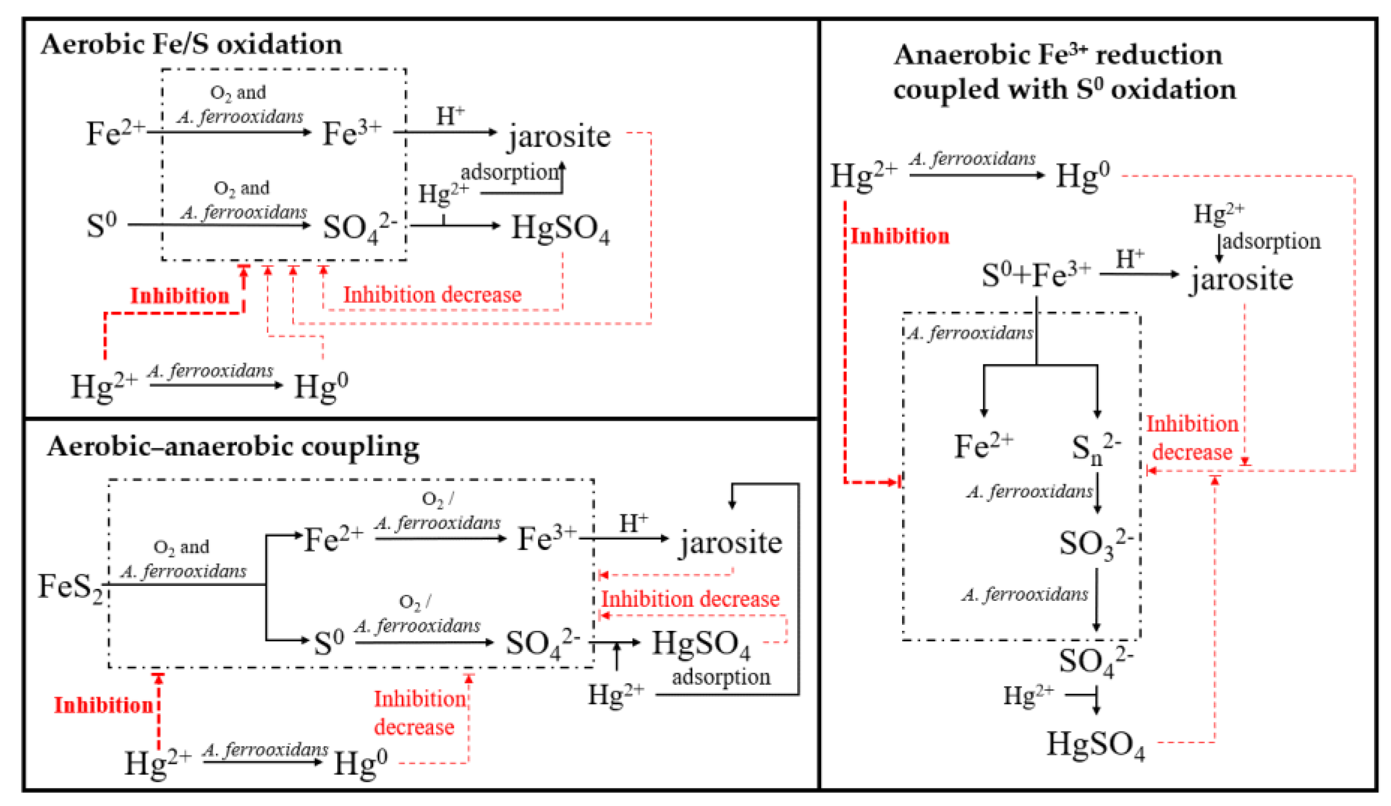 Microorganisms 11 01028 g010