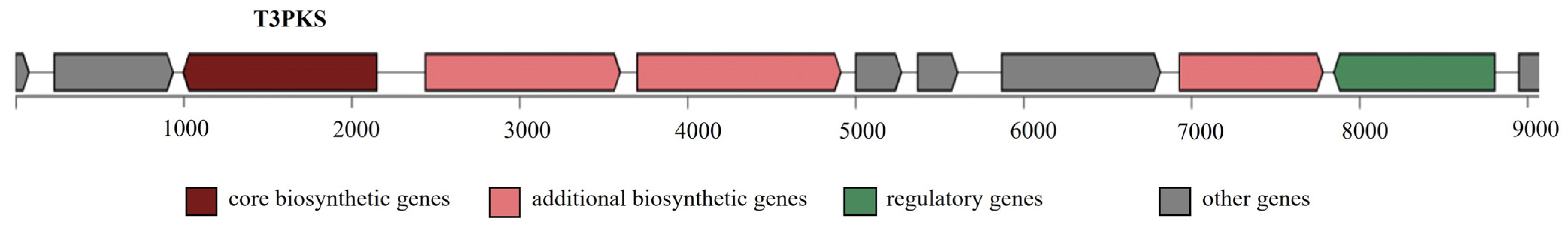 Microorganisms 11 01034 g003 Microorganisms 11 01034 g003