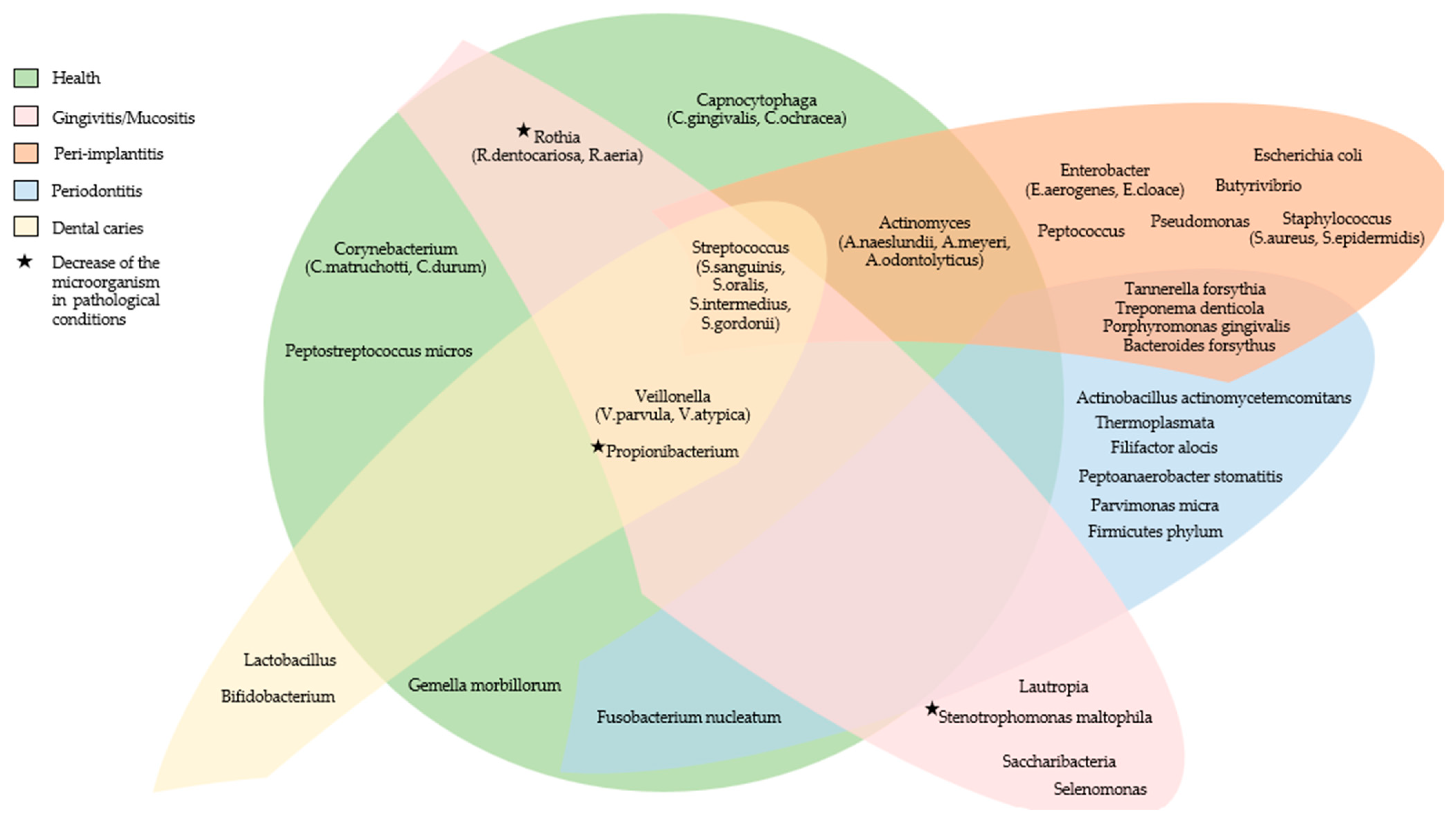 Microorganisms 11 01041 g001