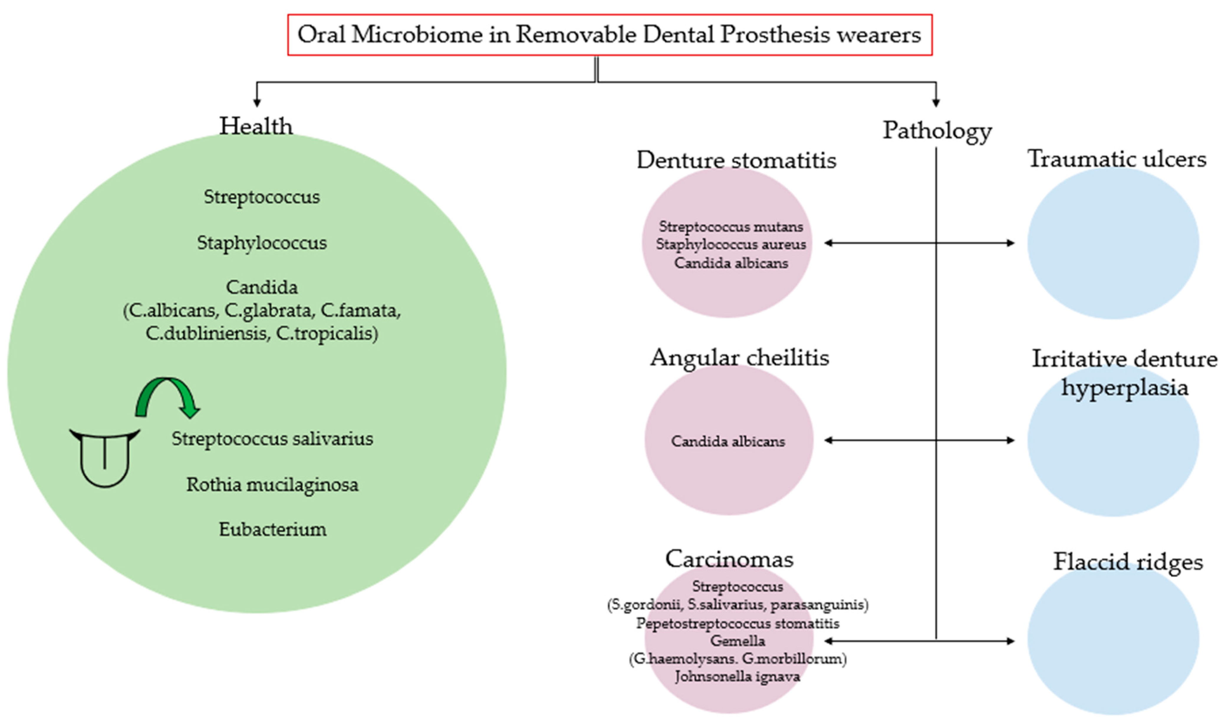 Microorganisms 11 01041 g002