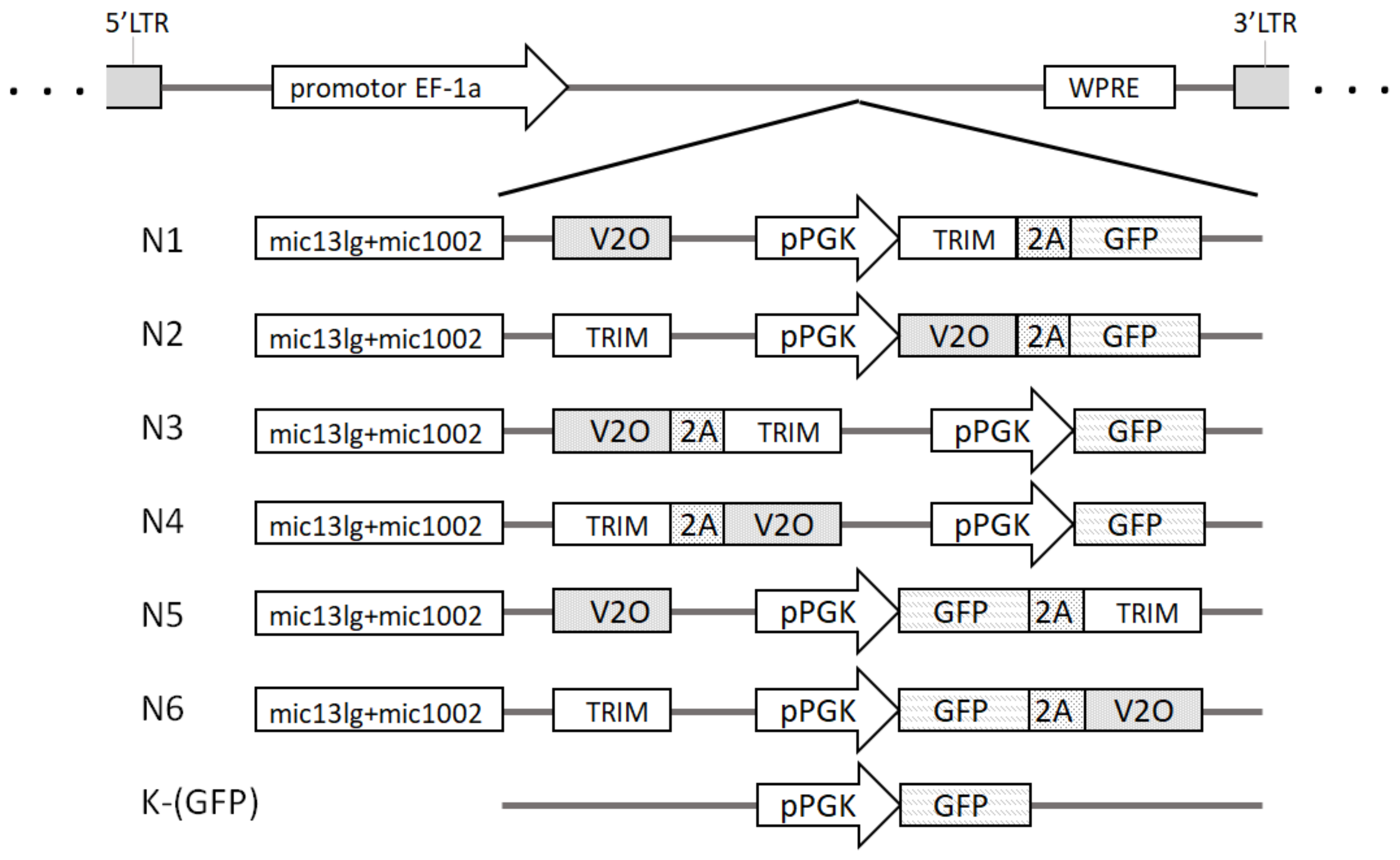 Microorganisms 11 01053 g001