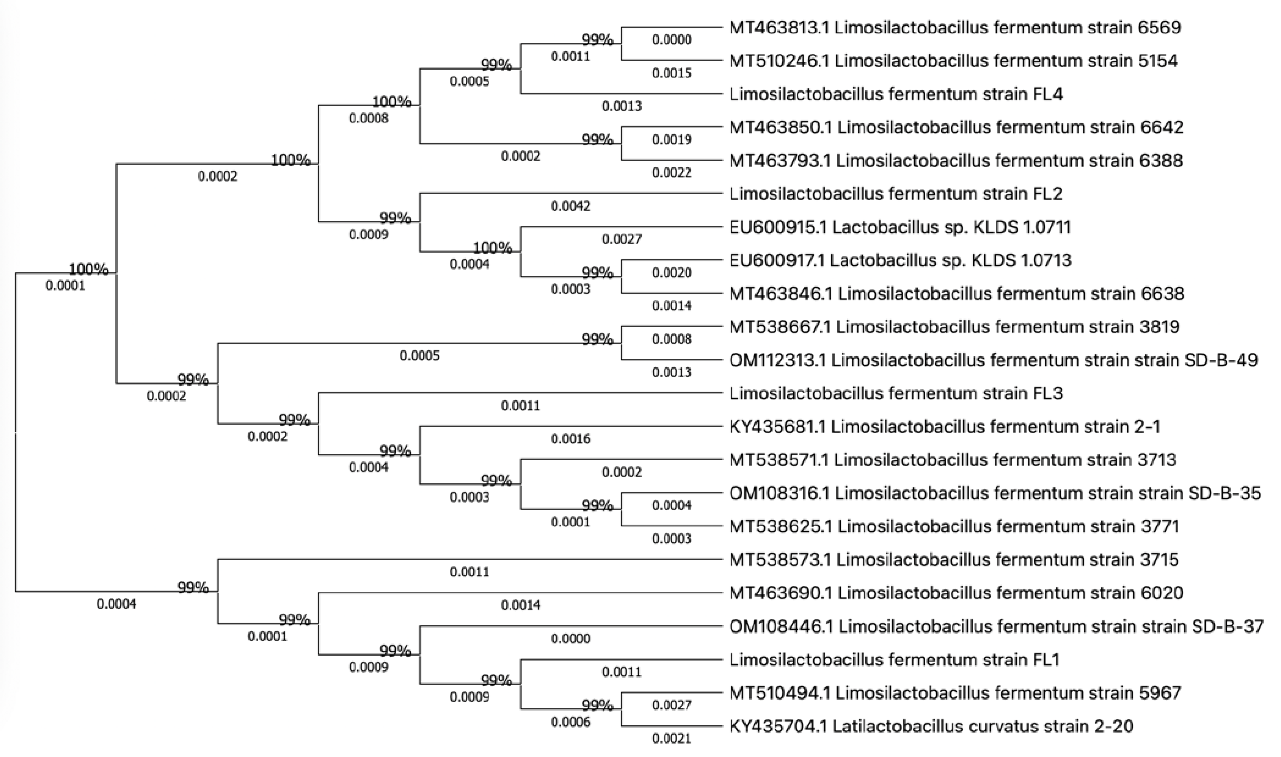 Microorganisms 11 01055 g001 Microorganisms 11 01055 g001