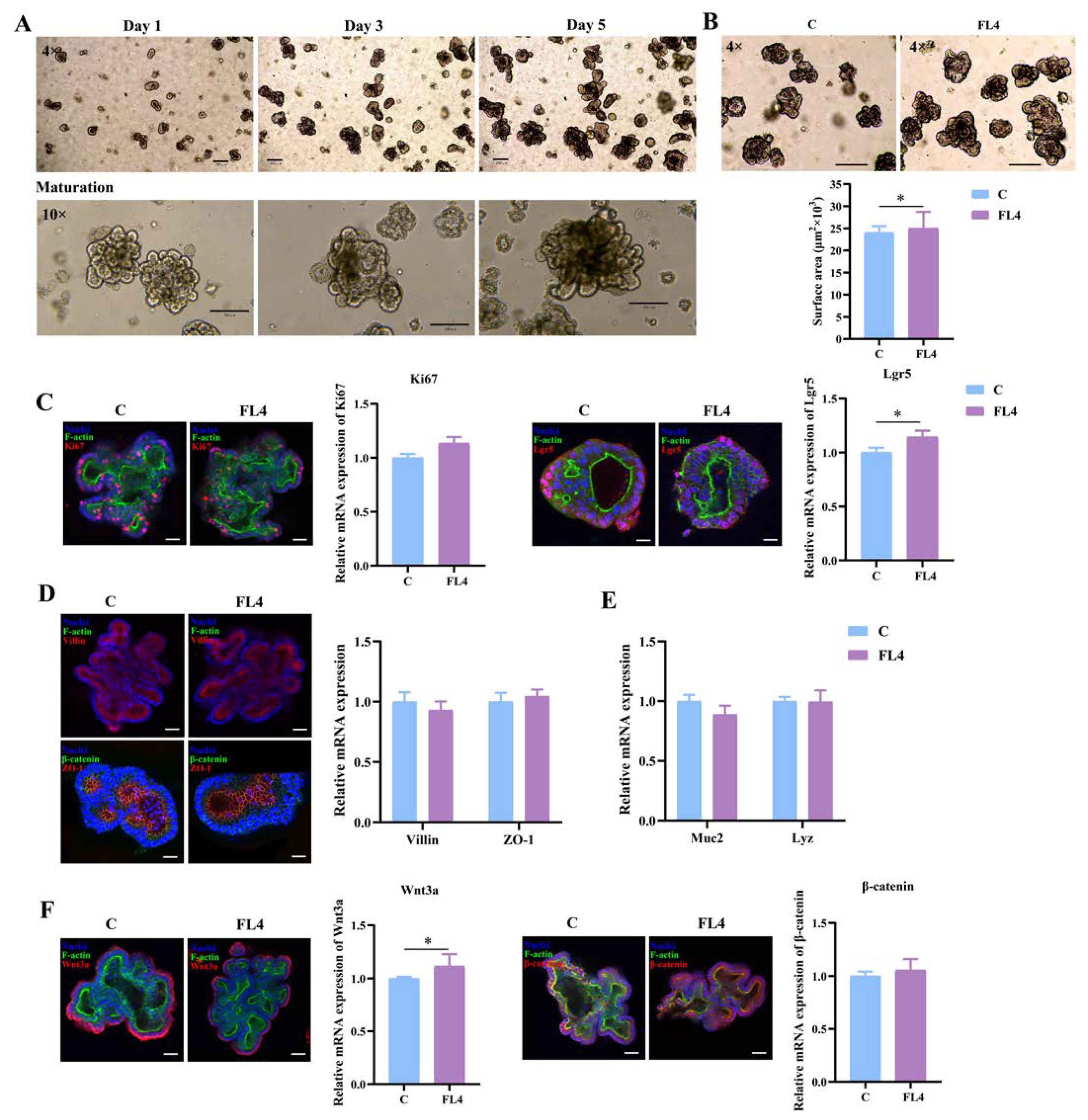 Microorganisms 11 01055 g004 Microorganisms 11 01055 g004