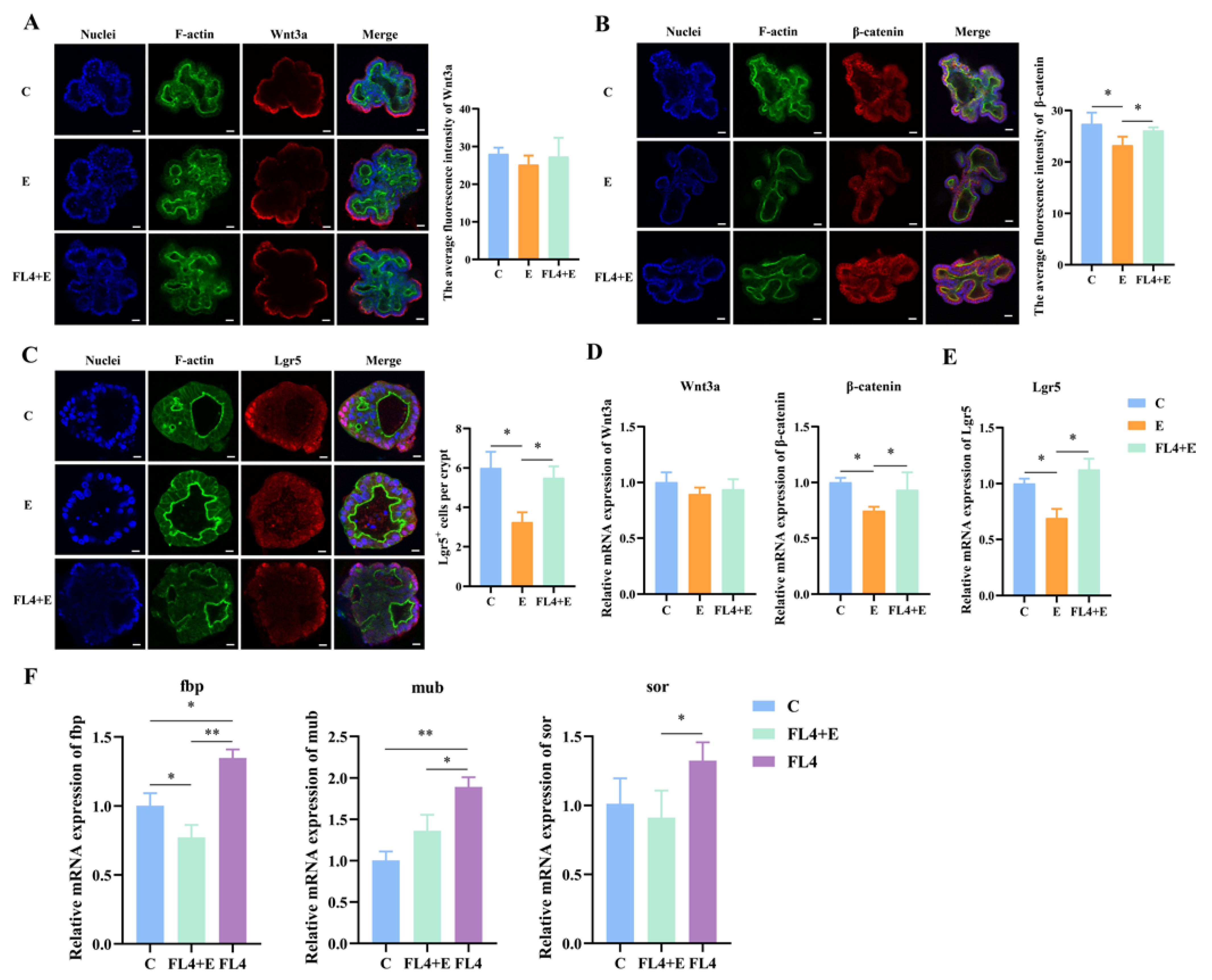 Microorganisms 11 01055 g006 Microorganisms 11 01055 g006