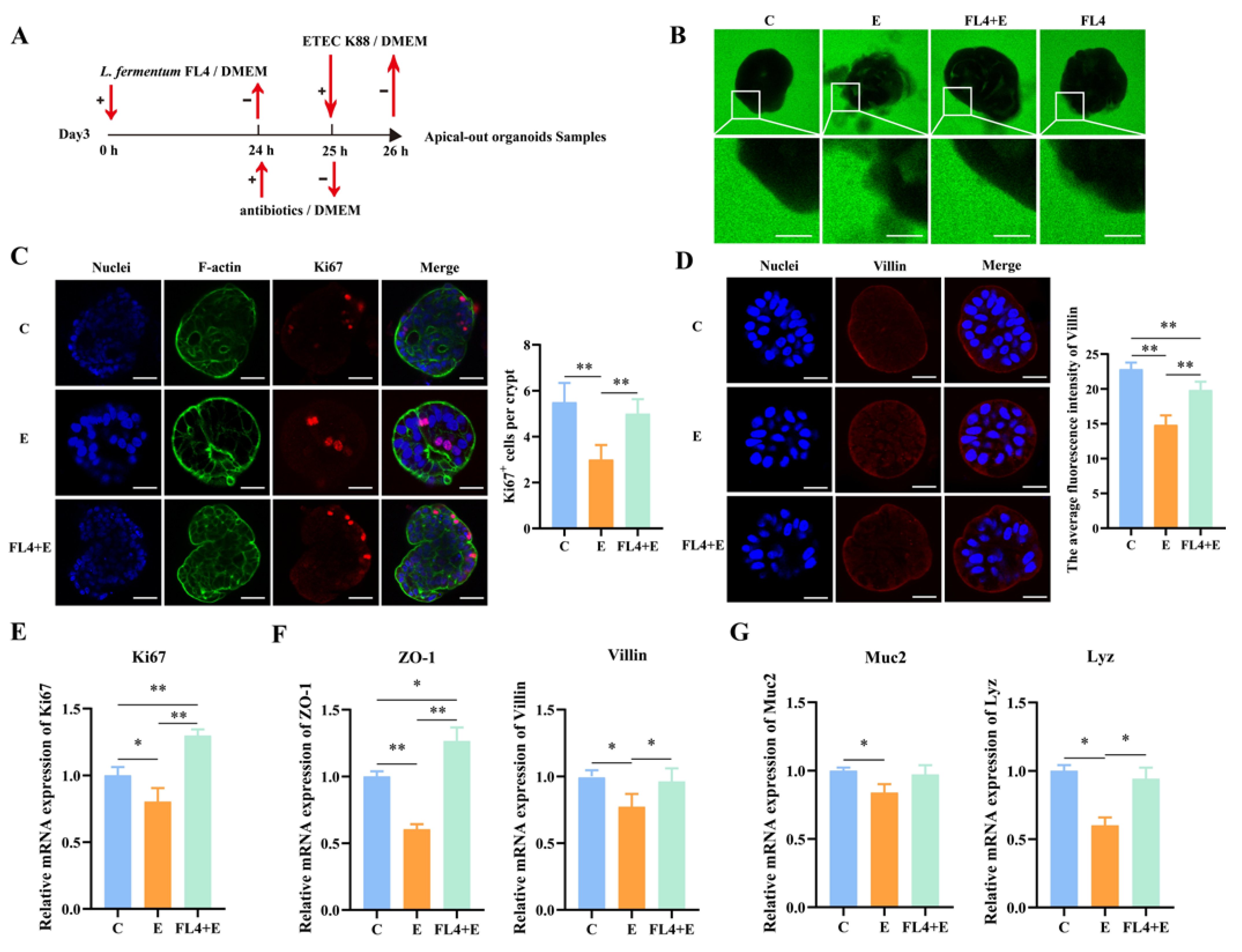 Microorganisms 11 01055 g008 Microorganisms 11 01055 g008
