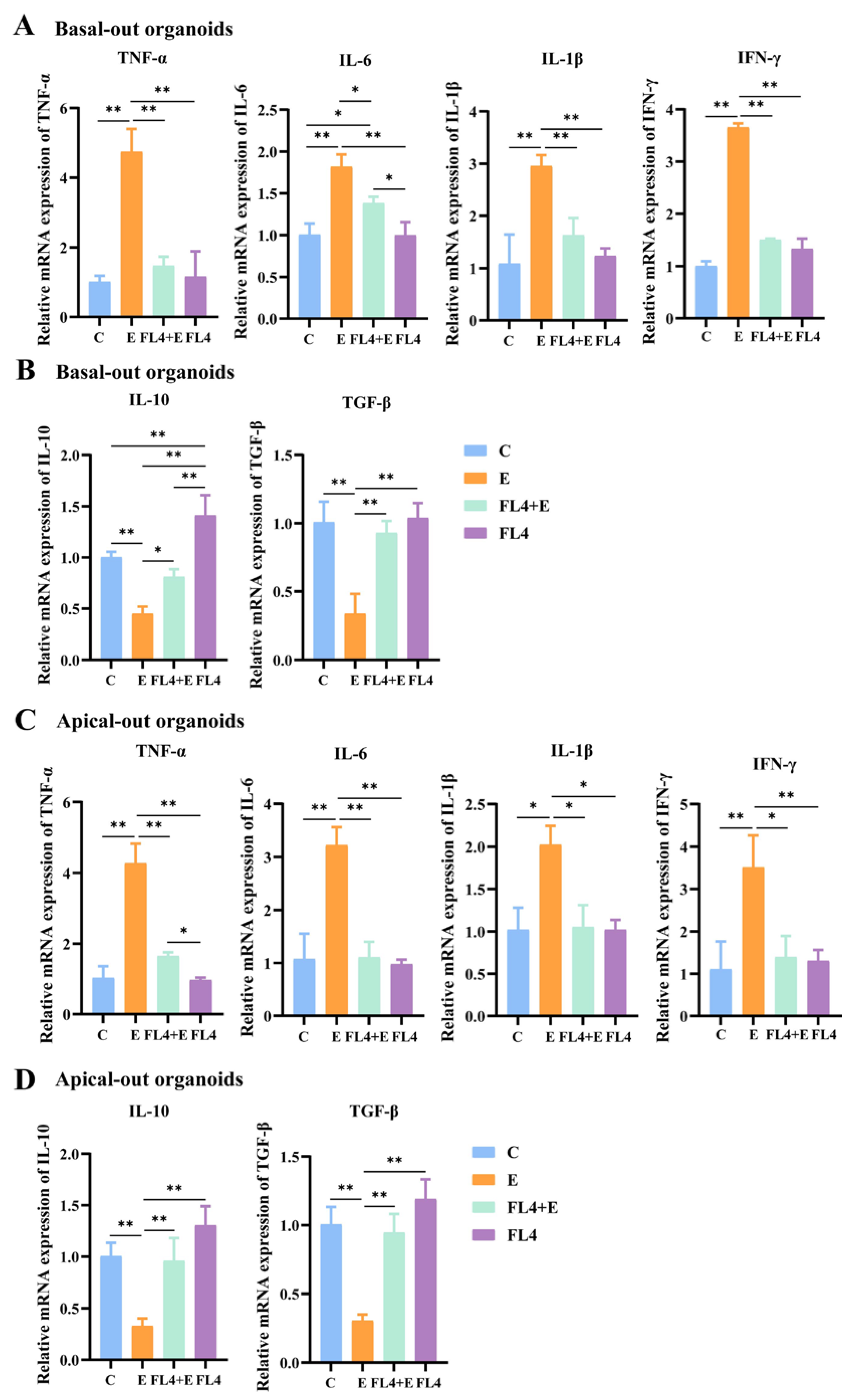 Microorganisms 11 01055 g010 Microorganisms 11 01055 g010