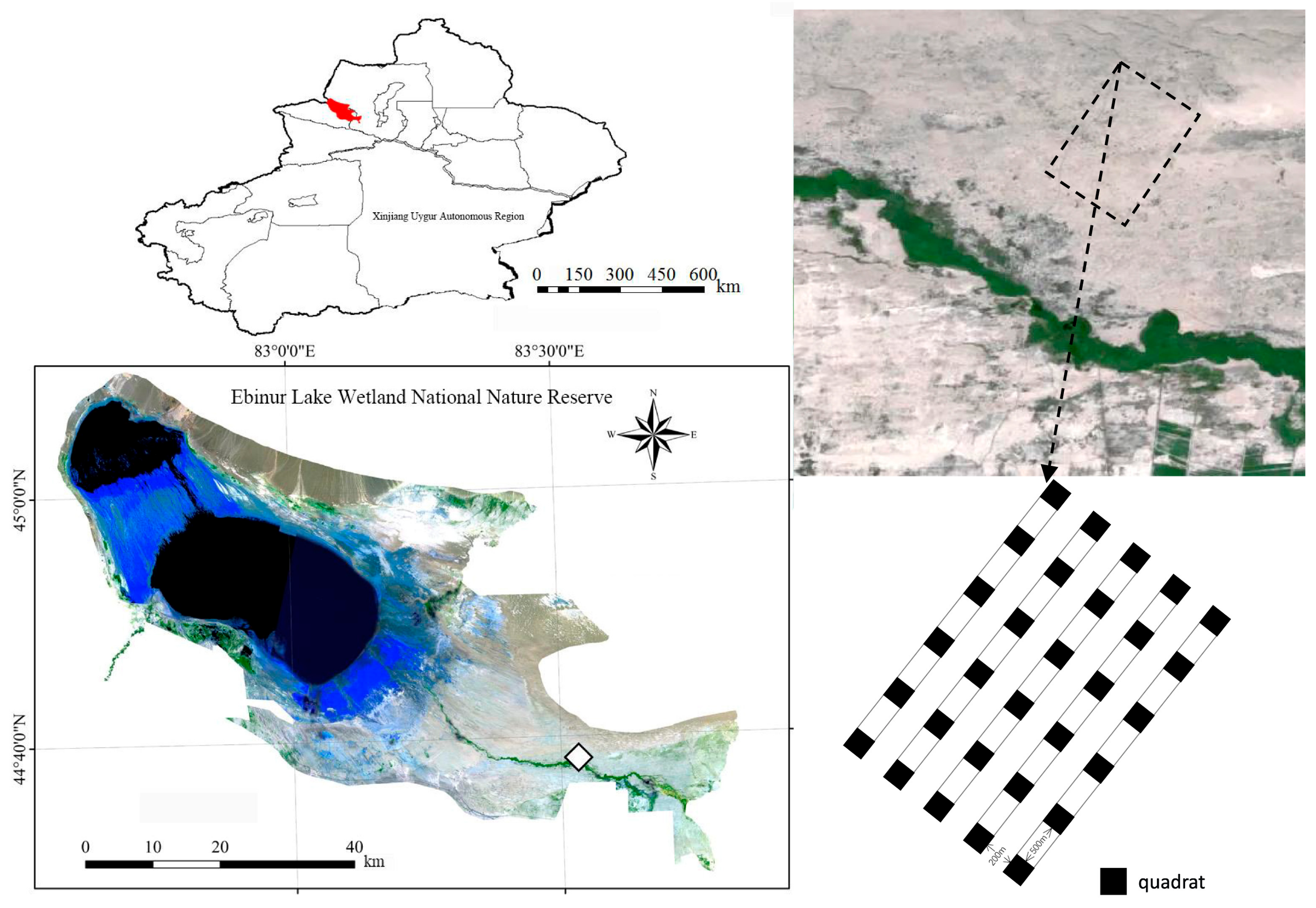 Microorganisms 11 01060 g001 Microorganisms 11 01060 g001