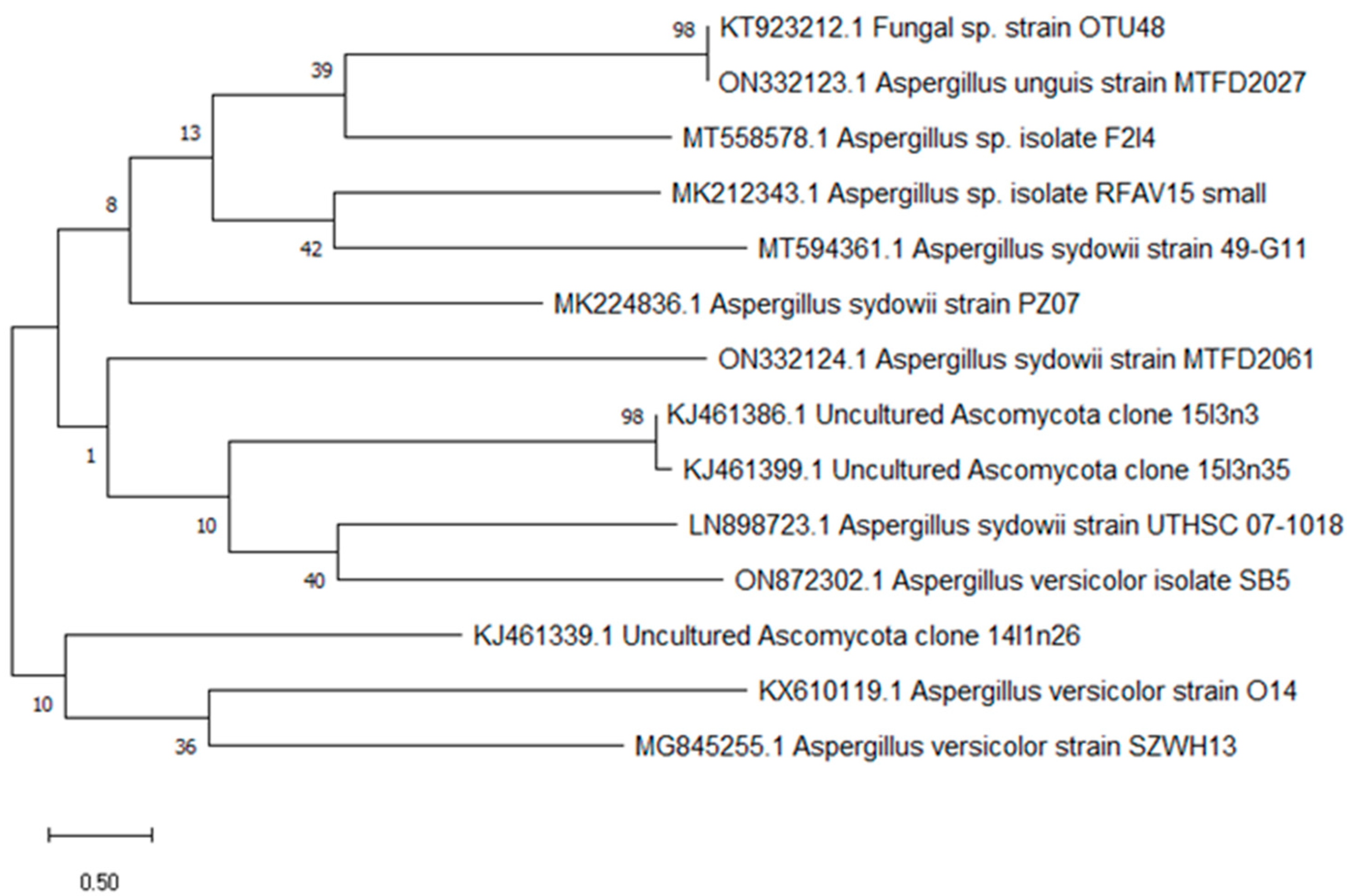 Microorganisms 11 01062 g002