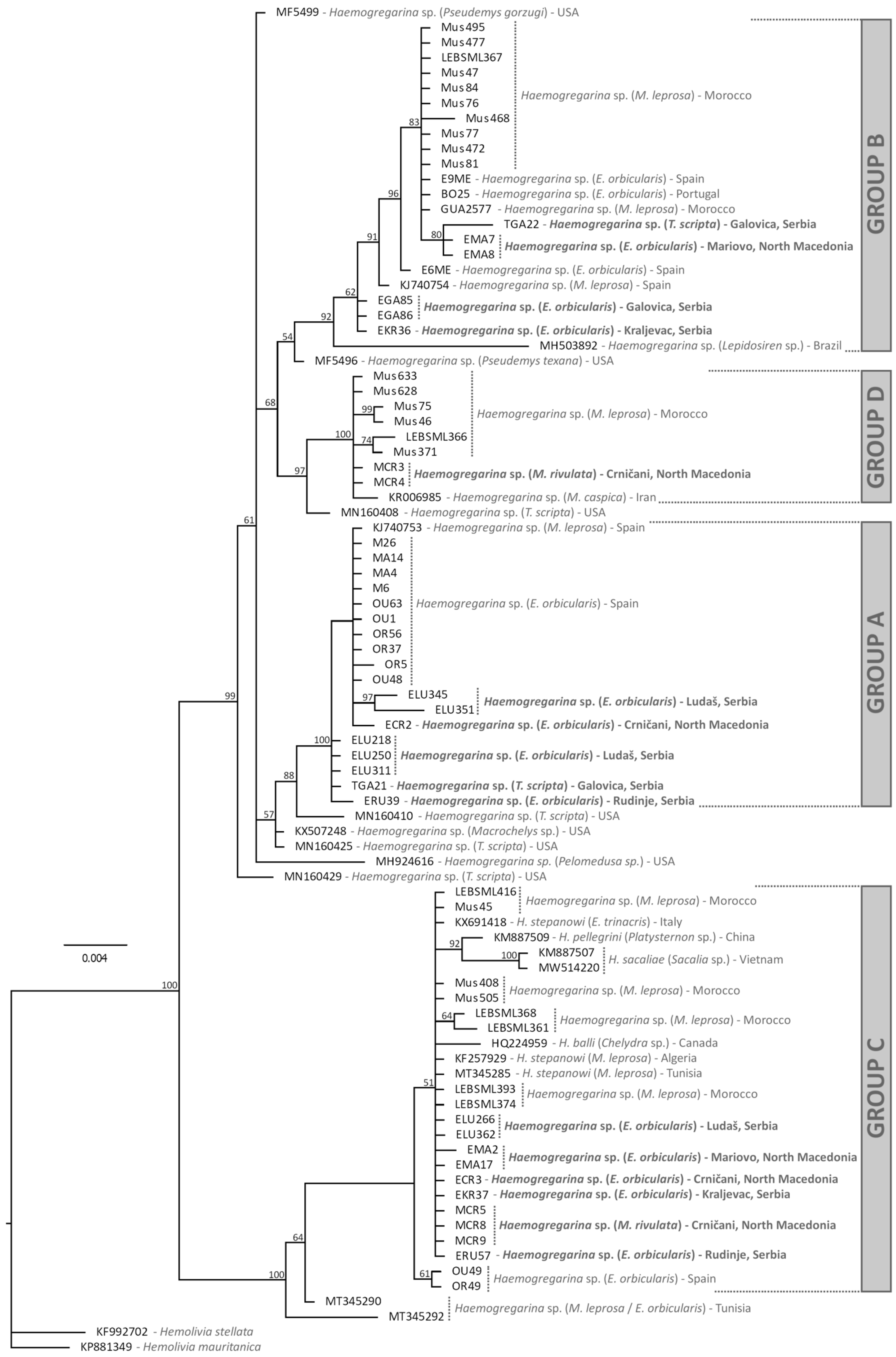 Microorganisms 11 01063 g002