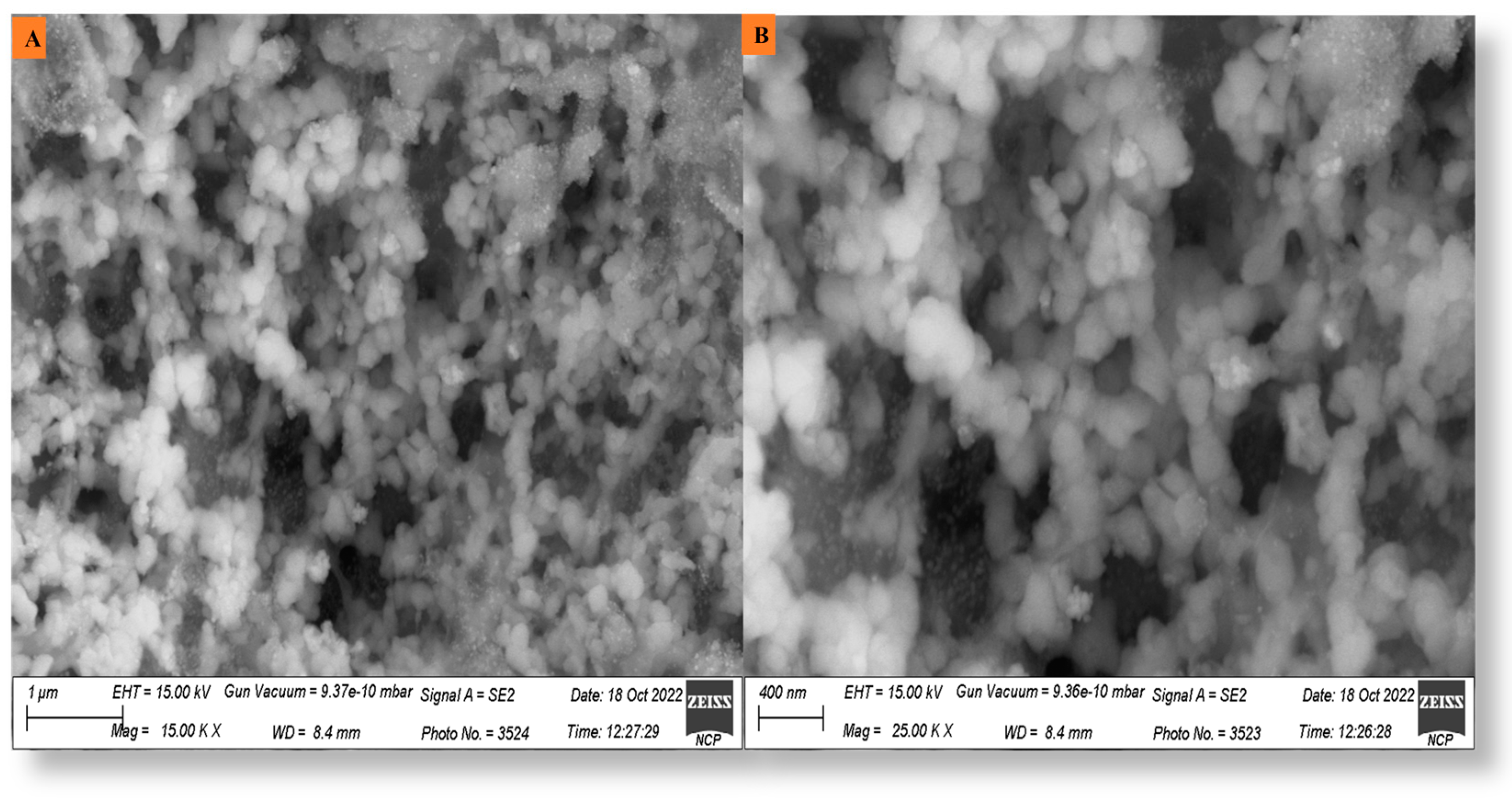 Microorganisms 11 01069 g006 Microorganisms 11 01069 g006