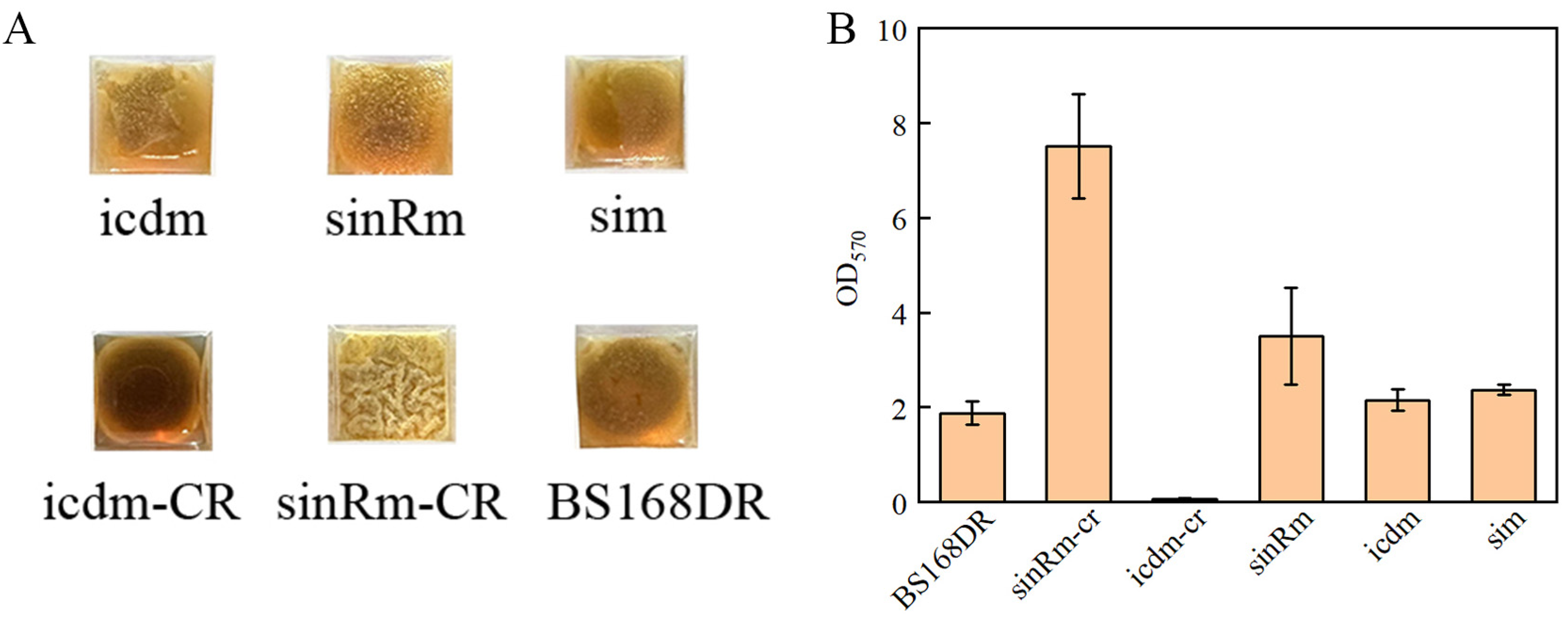 Microorganisms 11 01070 g007 Microorganisms 11 01070 g007