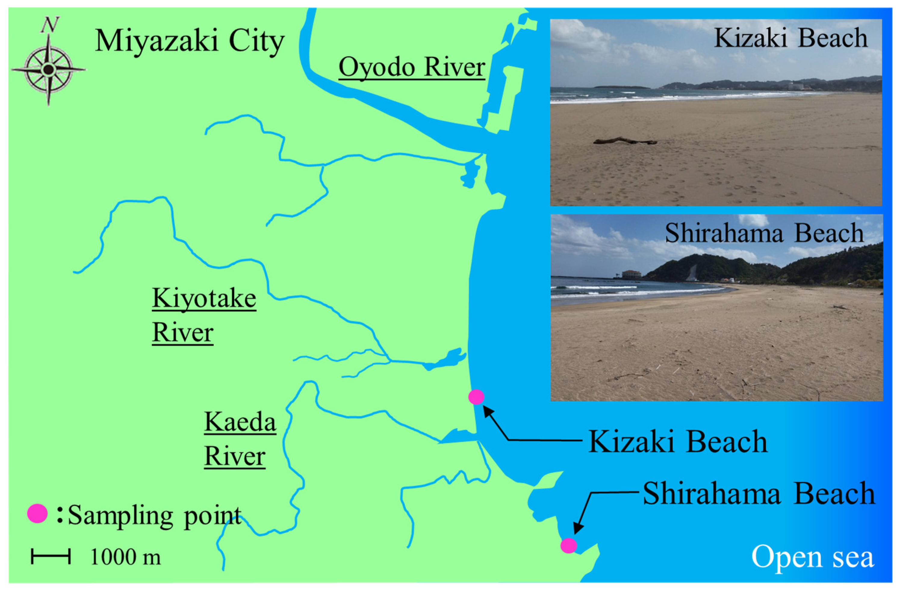Microorganisms 11 01074 g001 Microorganisms 11 01074 g001