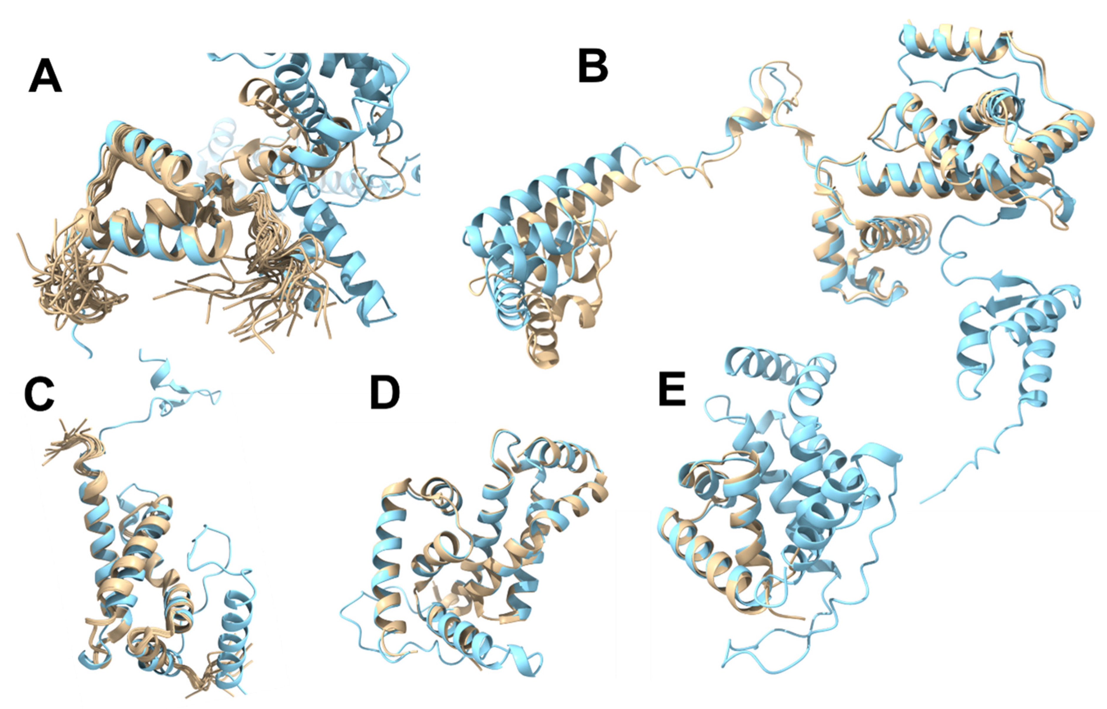 Microorganisms 11 01077 g004