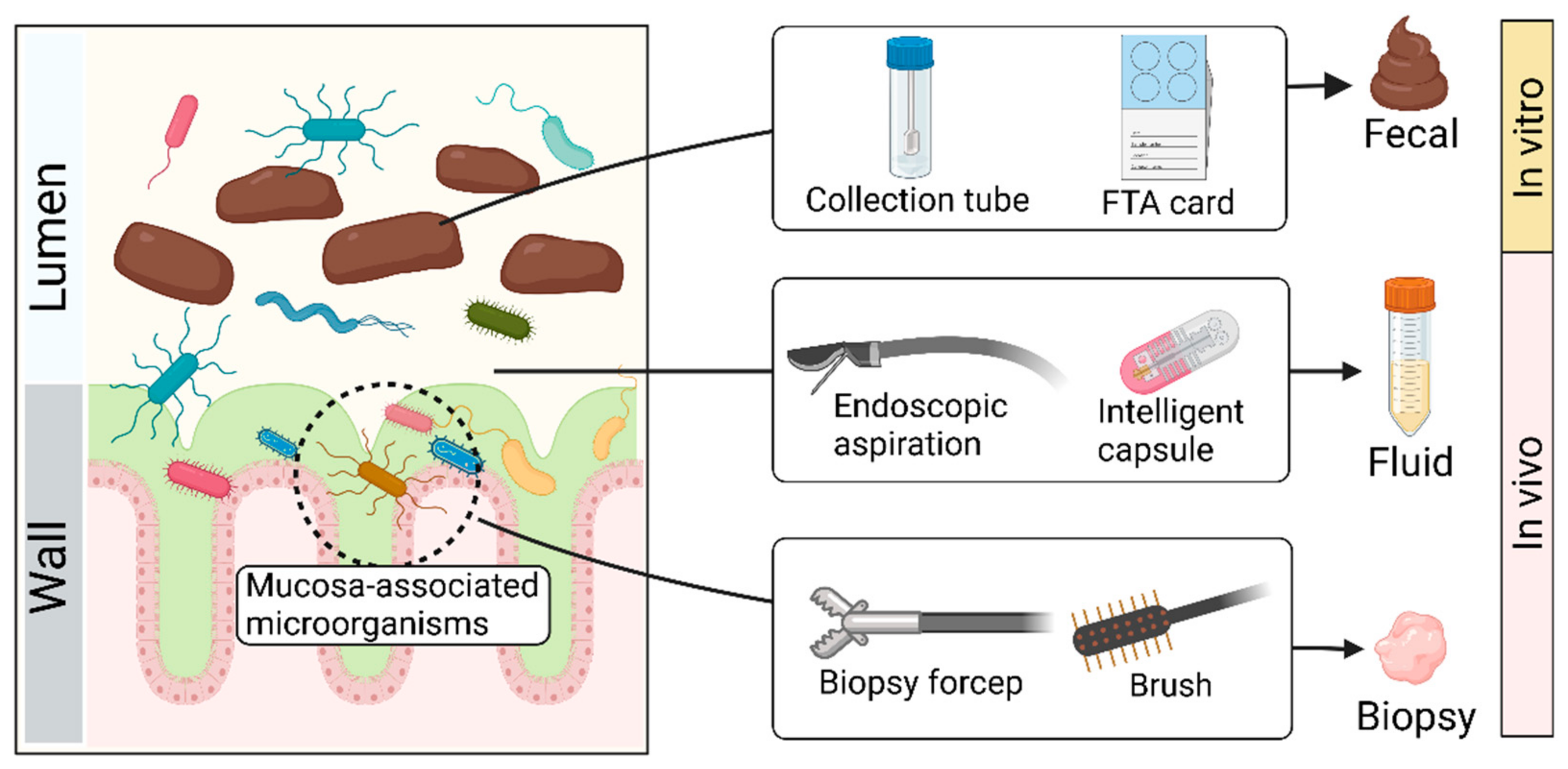 Microorganisms 11 01080 g002